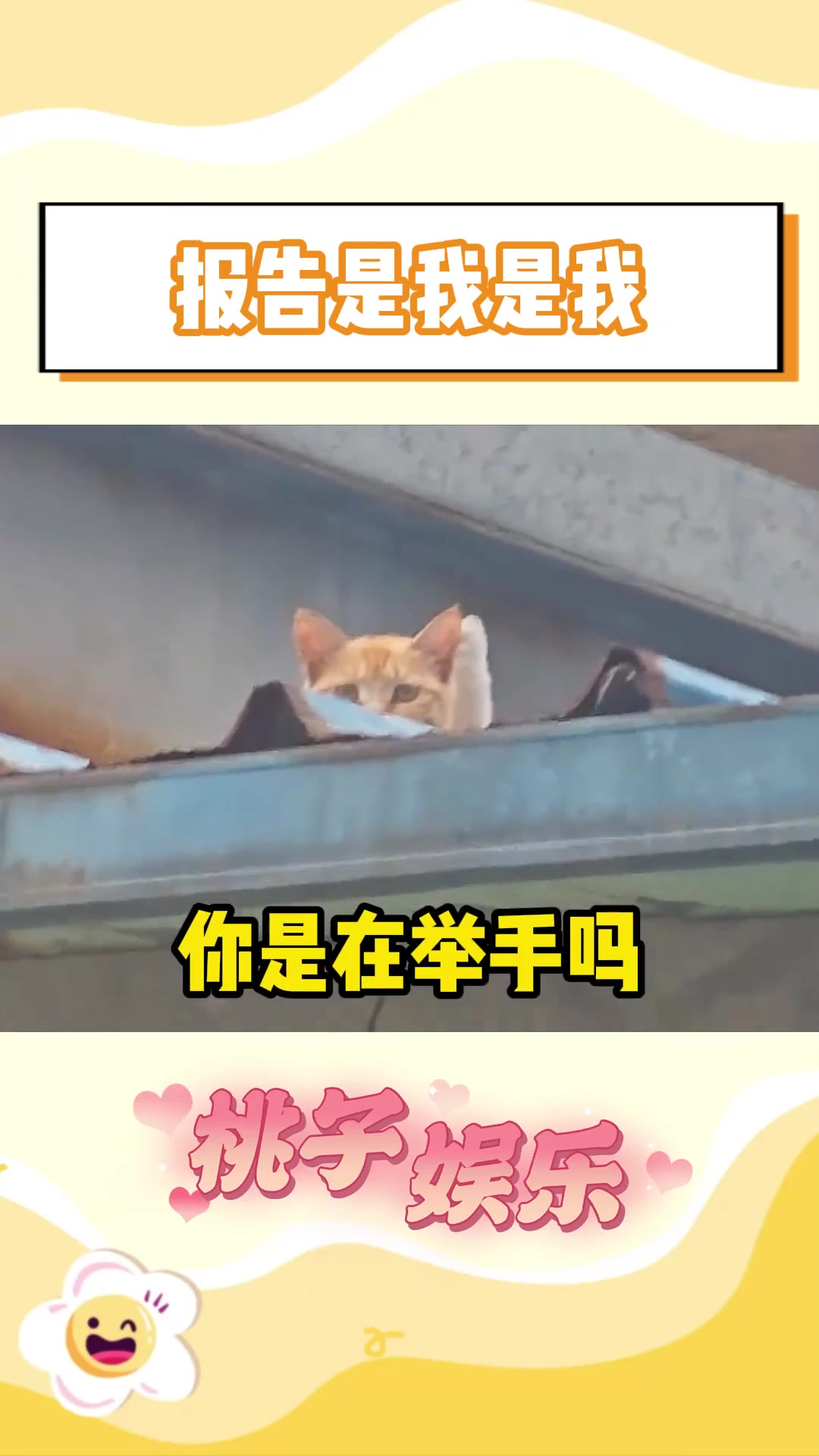 小猫你可以吃小鱼干!