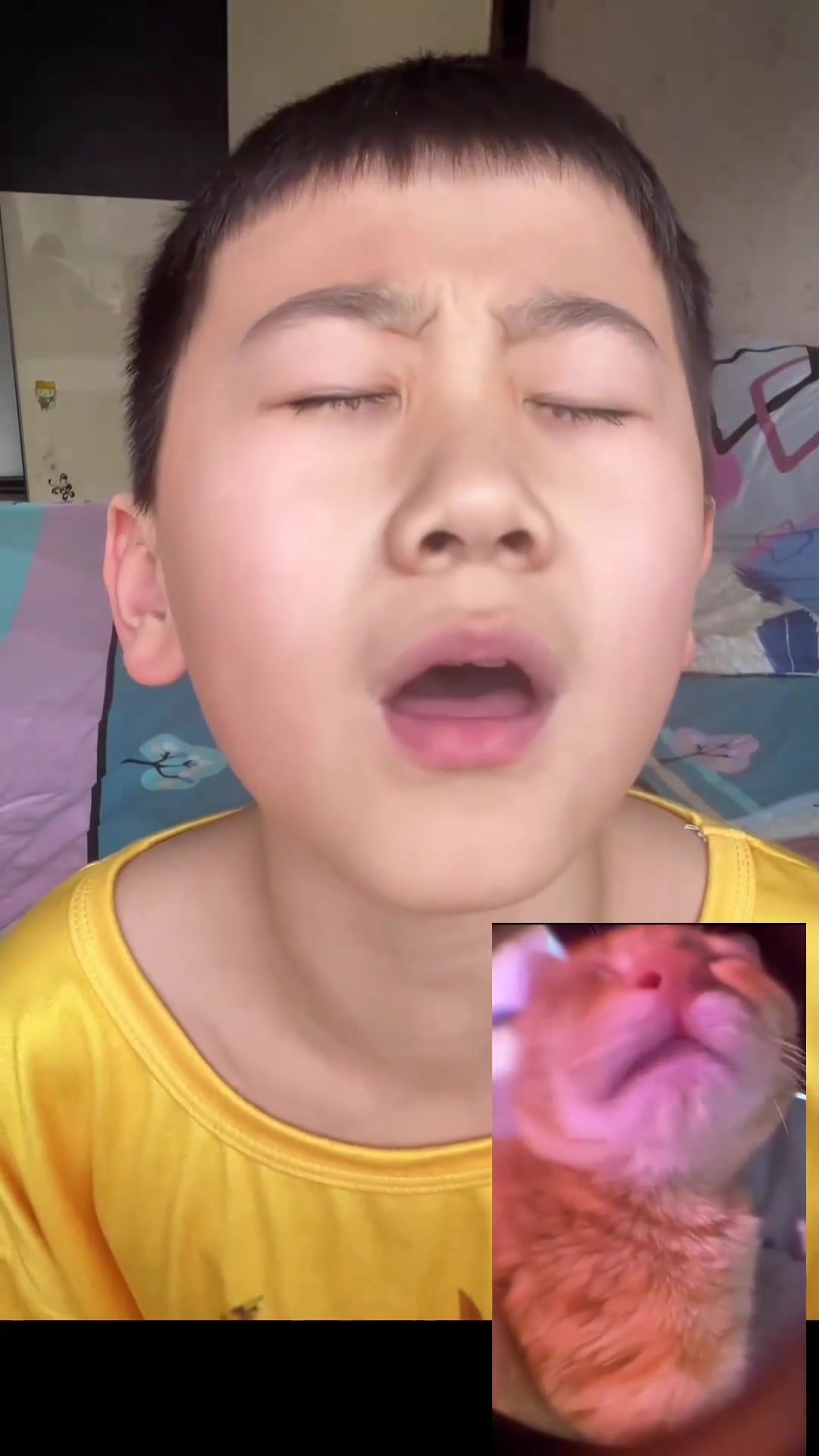 给猫meme表情包配音 猫meme 魔性 抖音精选