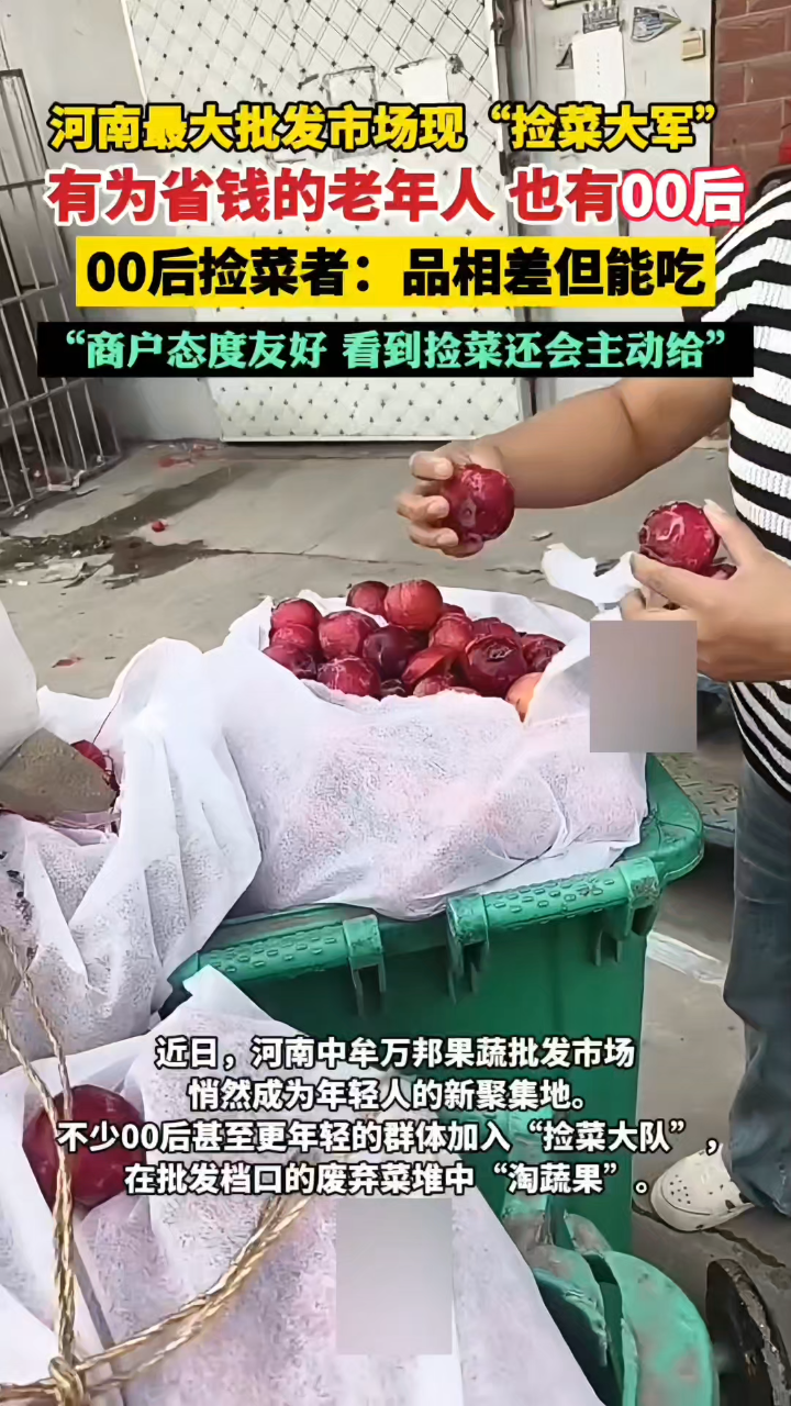 河南中牟:最大批发市场惊现年轻人捡菜潮!是节俭还是跟风?