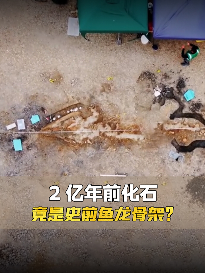 英国湖底发现2亿年前化石,竟是史前鱼龙骨架?