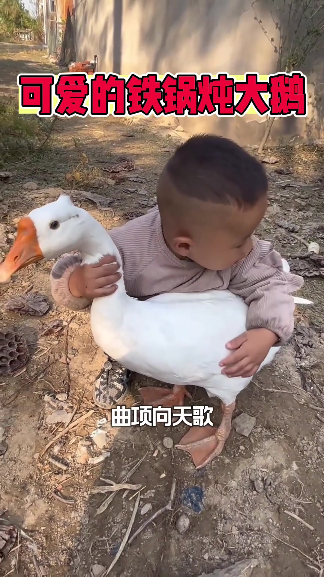 铁锅炖大鹅炖的是你不
