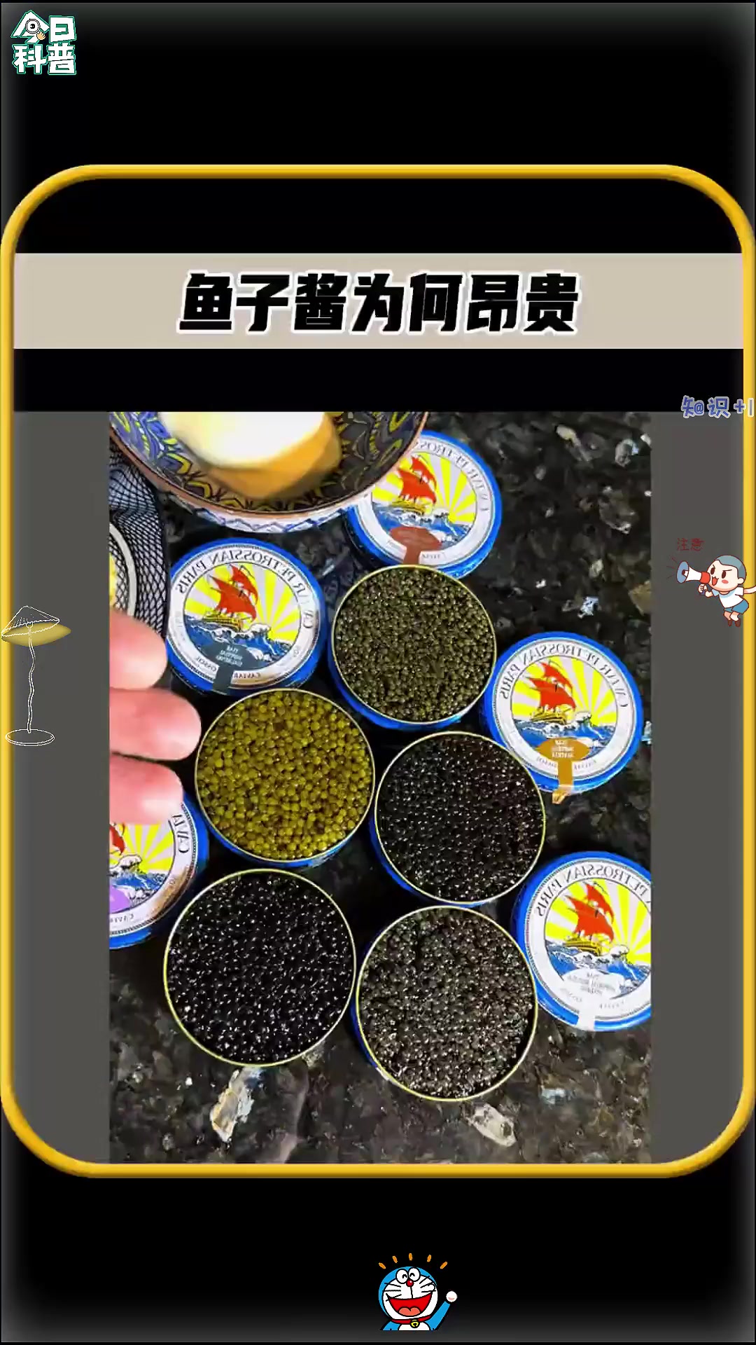 这是世界上，最昂贵的食物之一，价值连城的鱼子酱