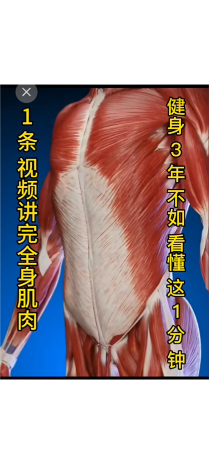 学习转录全身肌肉