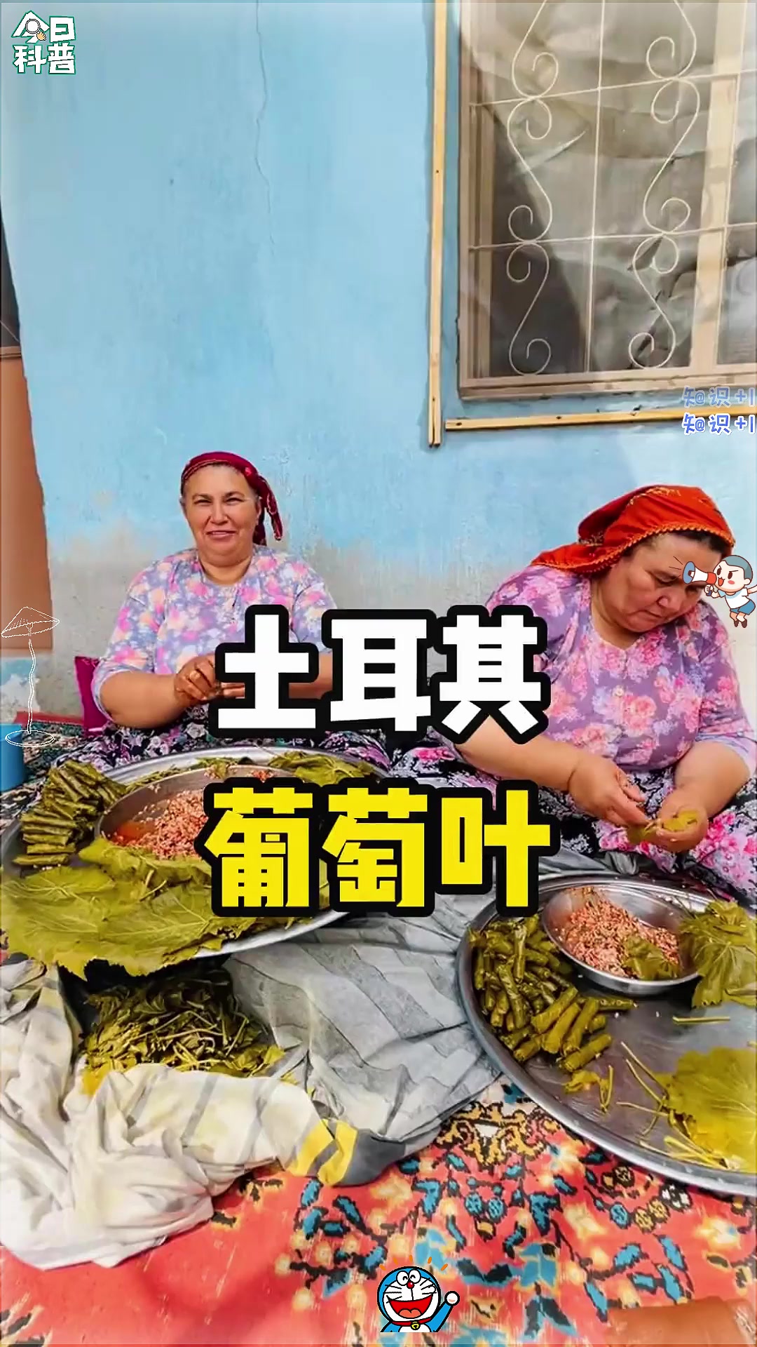 这里位于土耳其，当地人正在采摘新鲜的葡萄叶，葡萄叶是他们非常