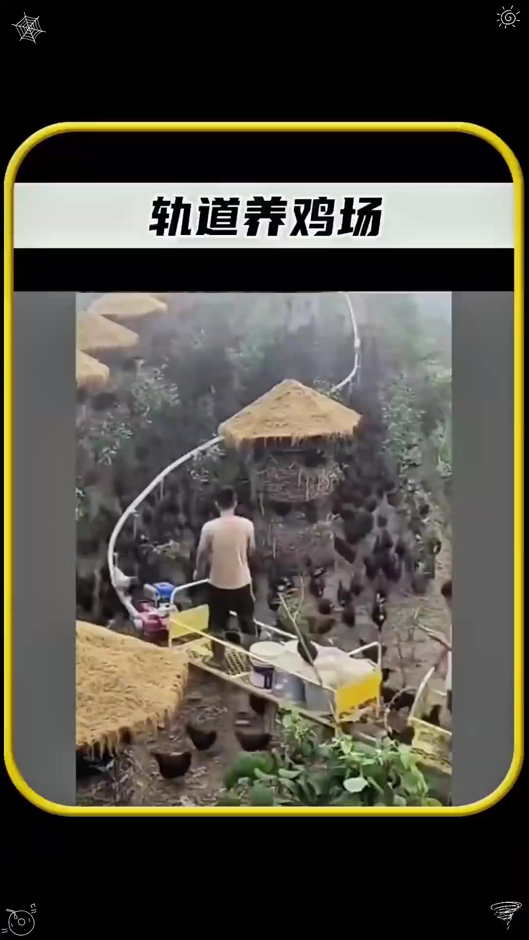 全世界独一无二的轨道养鸡场，每只鸡都住上了豪华单间