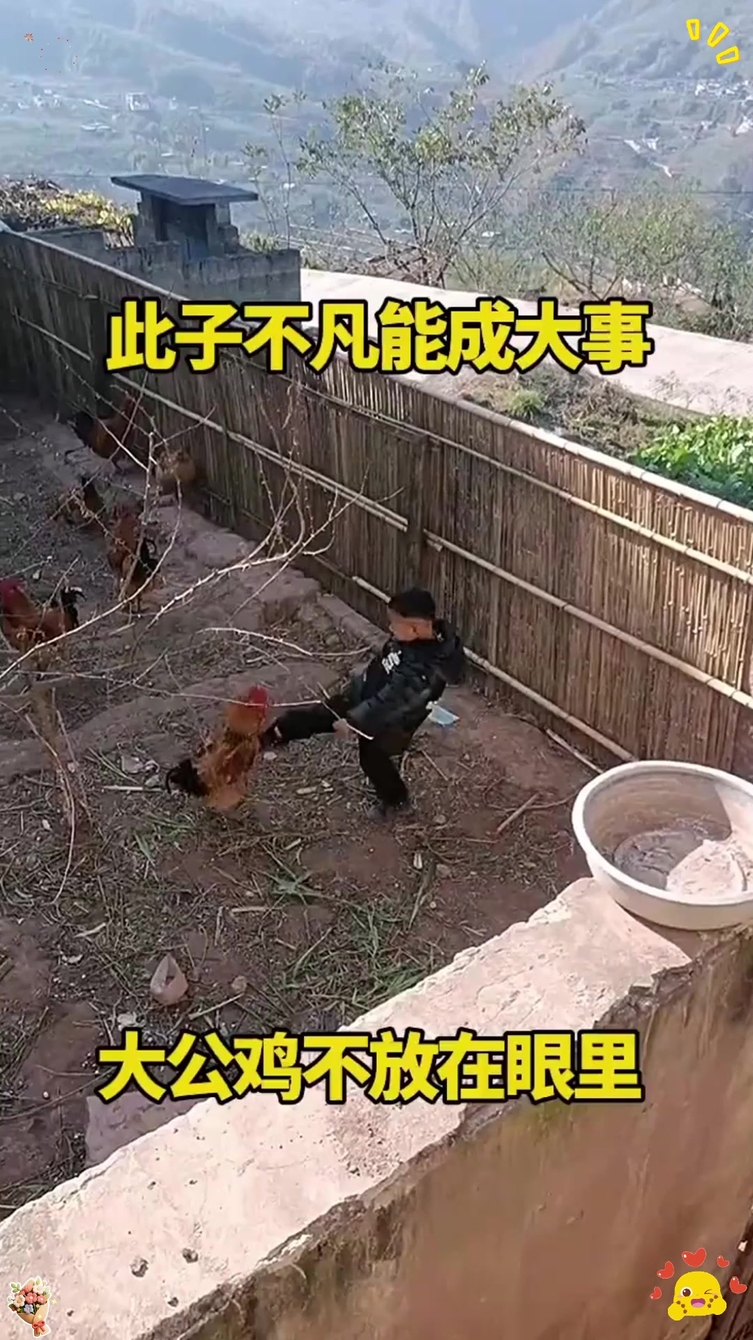大公鸡不放在眼里，这小子能成事！