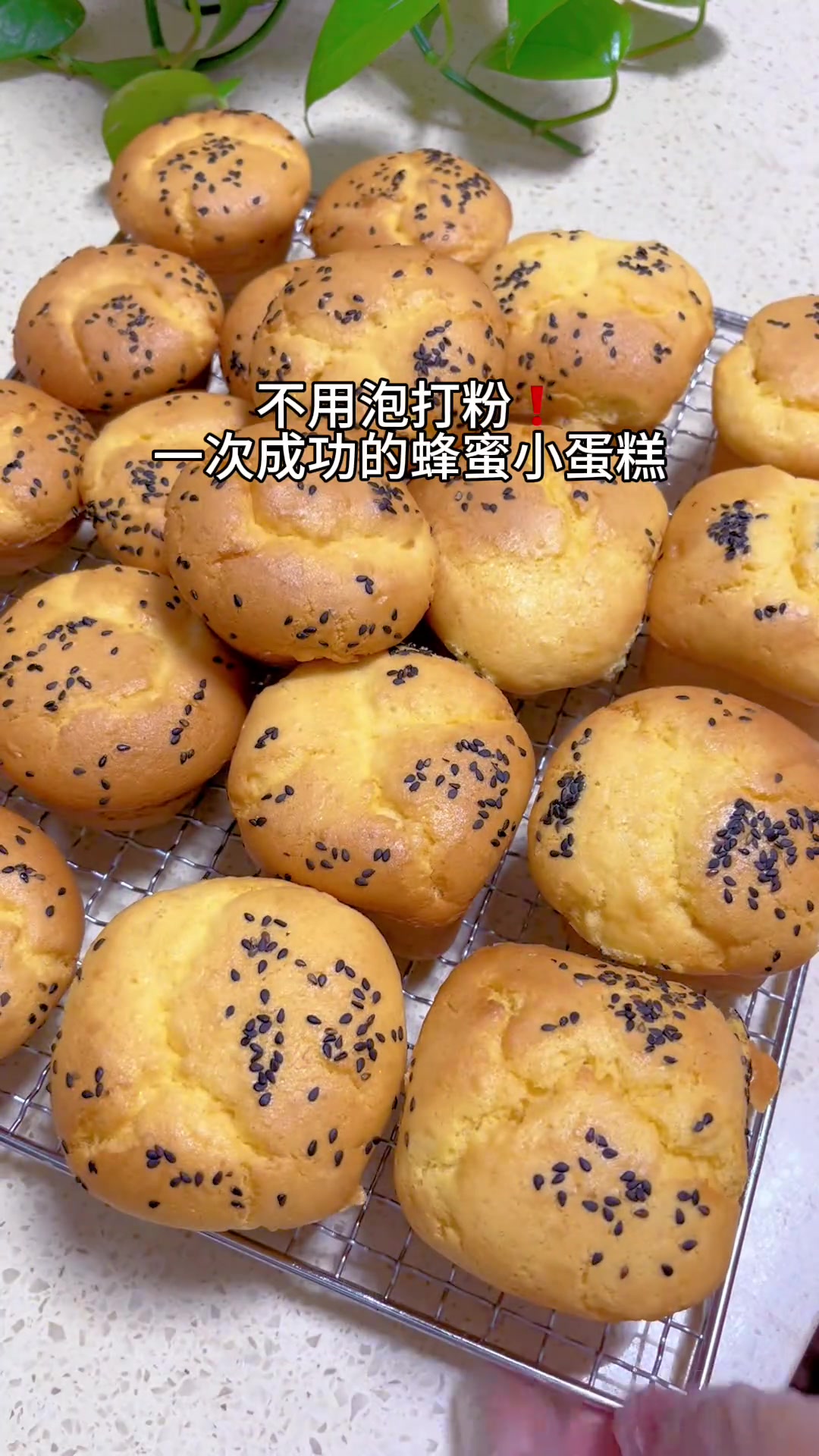 不用泡打粉卖爆了的蜂蜜小蛋糕特受家人喜爱 过节给家人