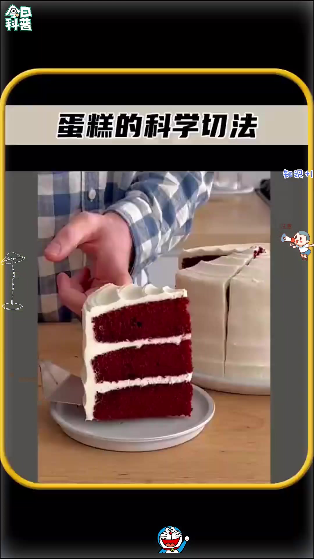 吃了那么多年的蛋糕,你知道蛋糕的科学切法吗