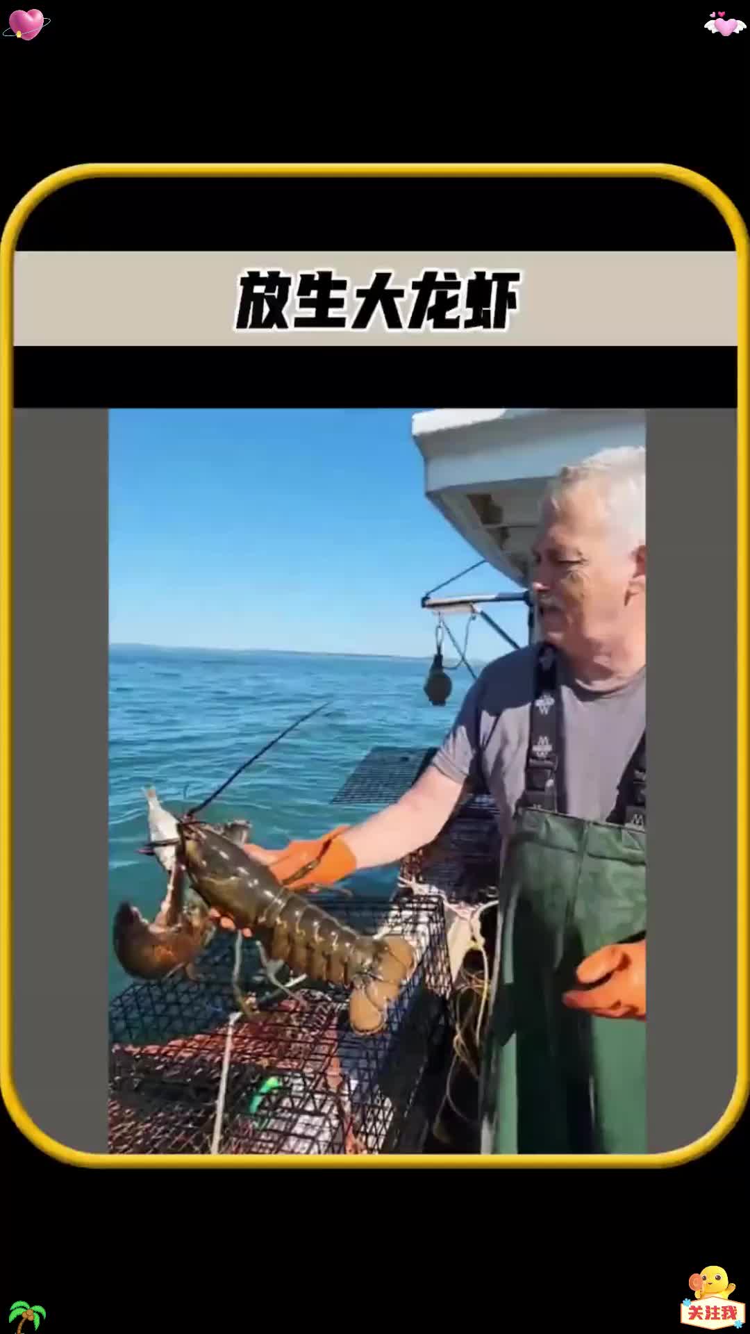 这个小哥好不容易,抓到了一只大龙虾,为什么不带回家吃掉