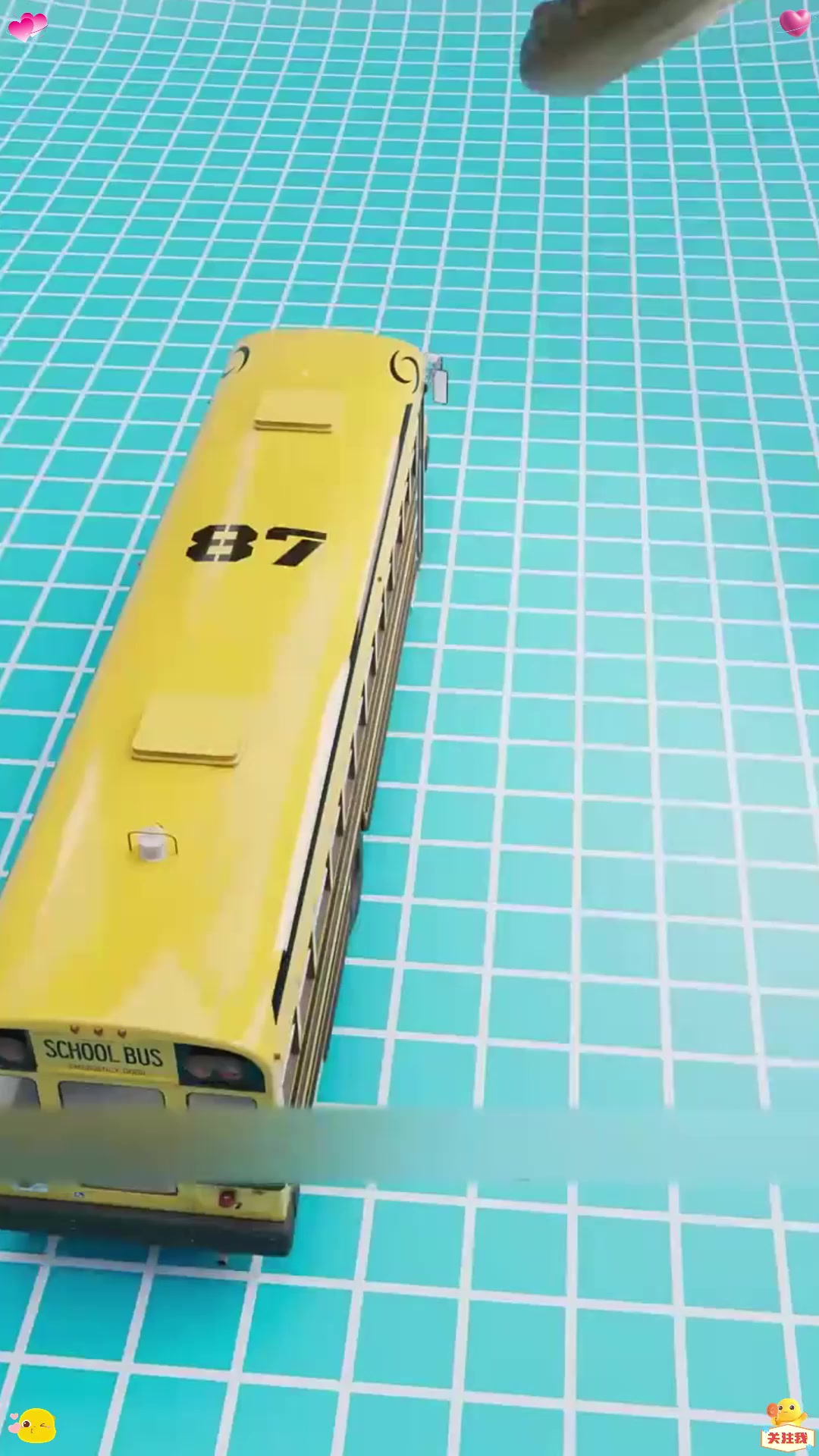 能吃鳄鱼的蛇！！！！