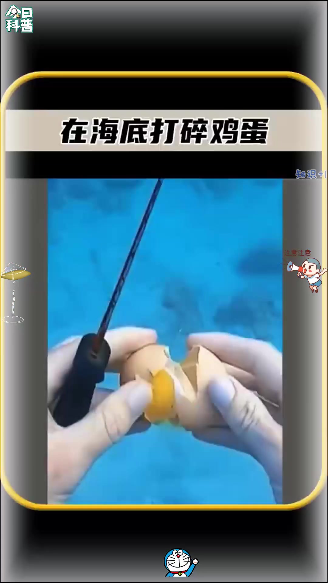 你知道在海底打碎一颗鸡蛋，会发生什么有趣的事情吗，真是太搞笑