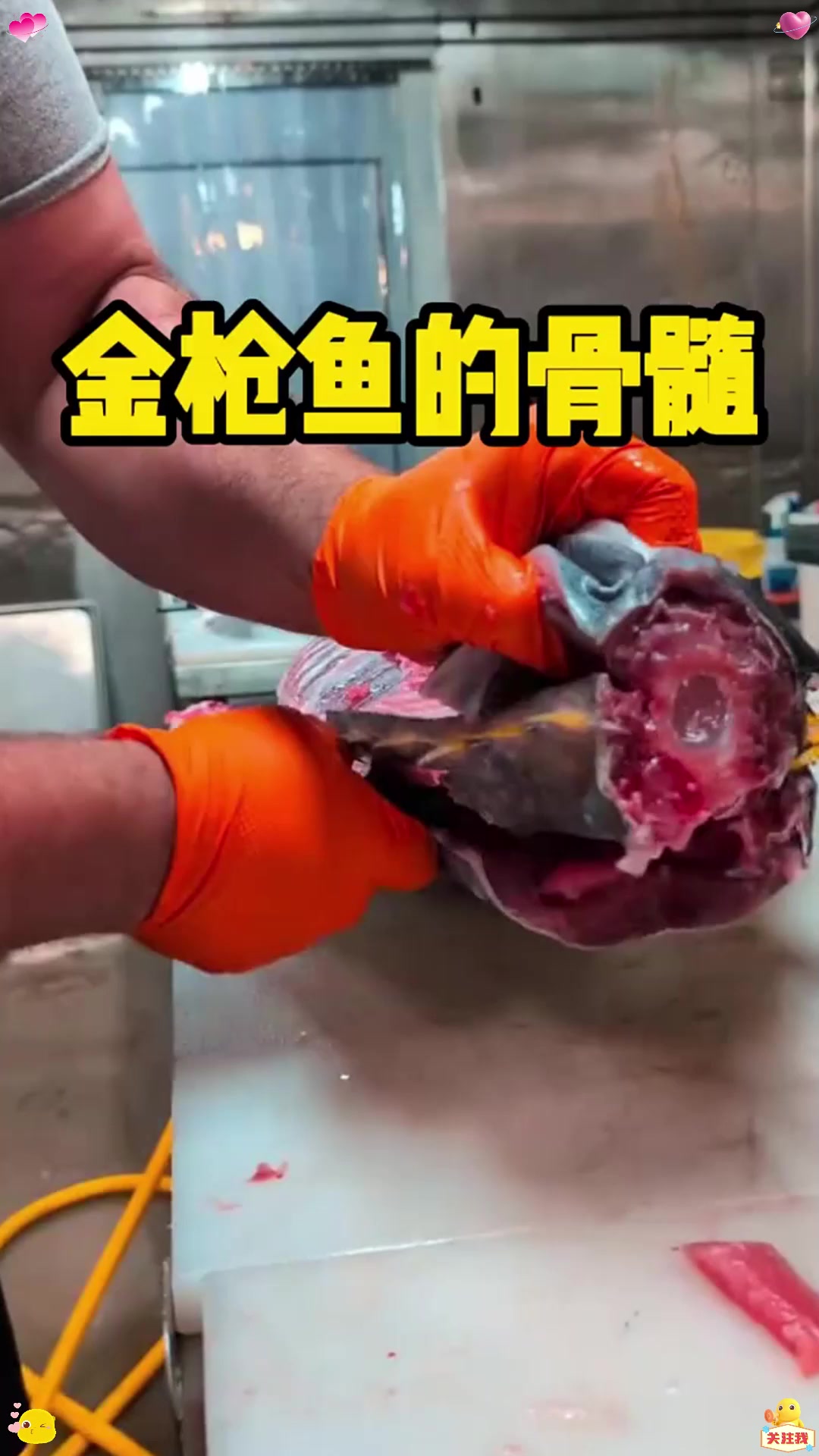 你知道金枪鱼最珍贵的部位是哪里吗?