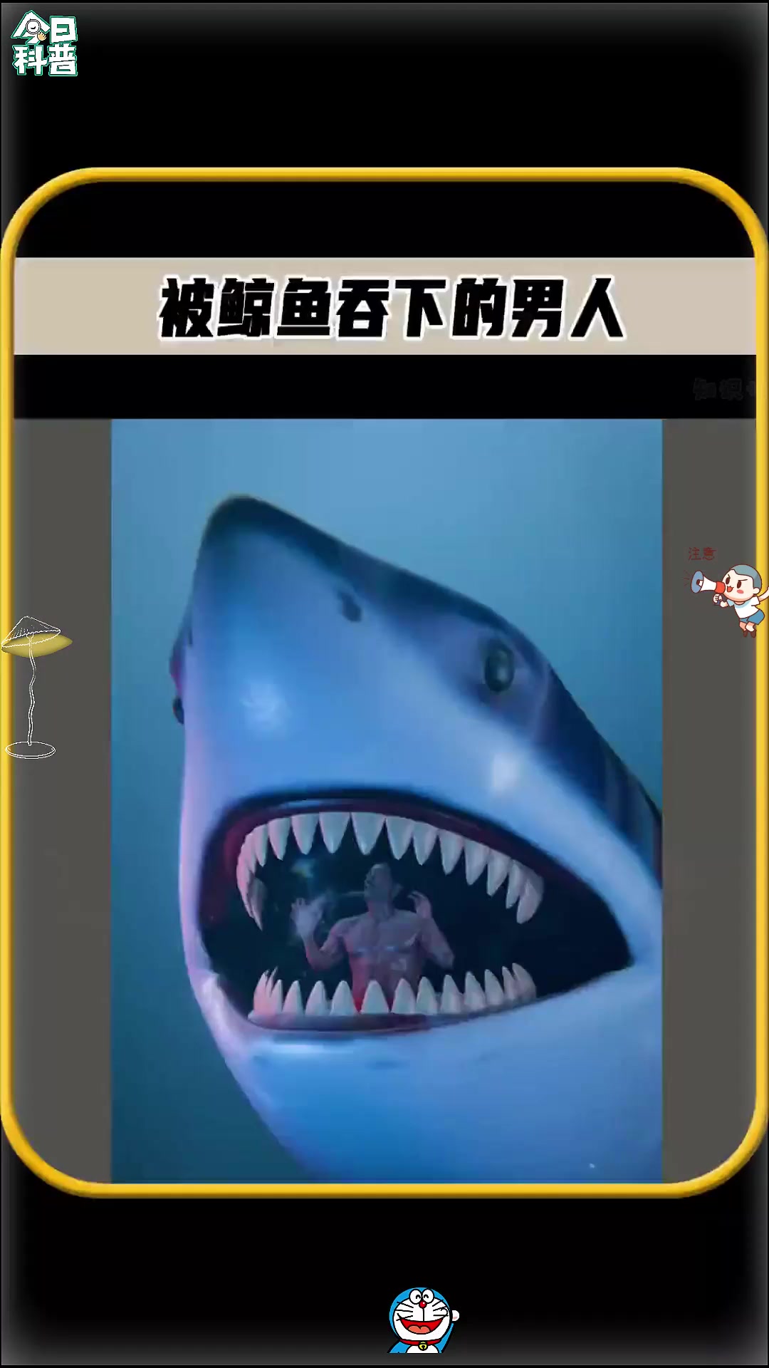 男人竟从鲸鱼肚子里生还,太不可思议,还以为是被大白鲨吞下了