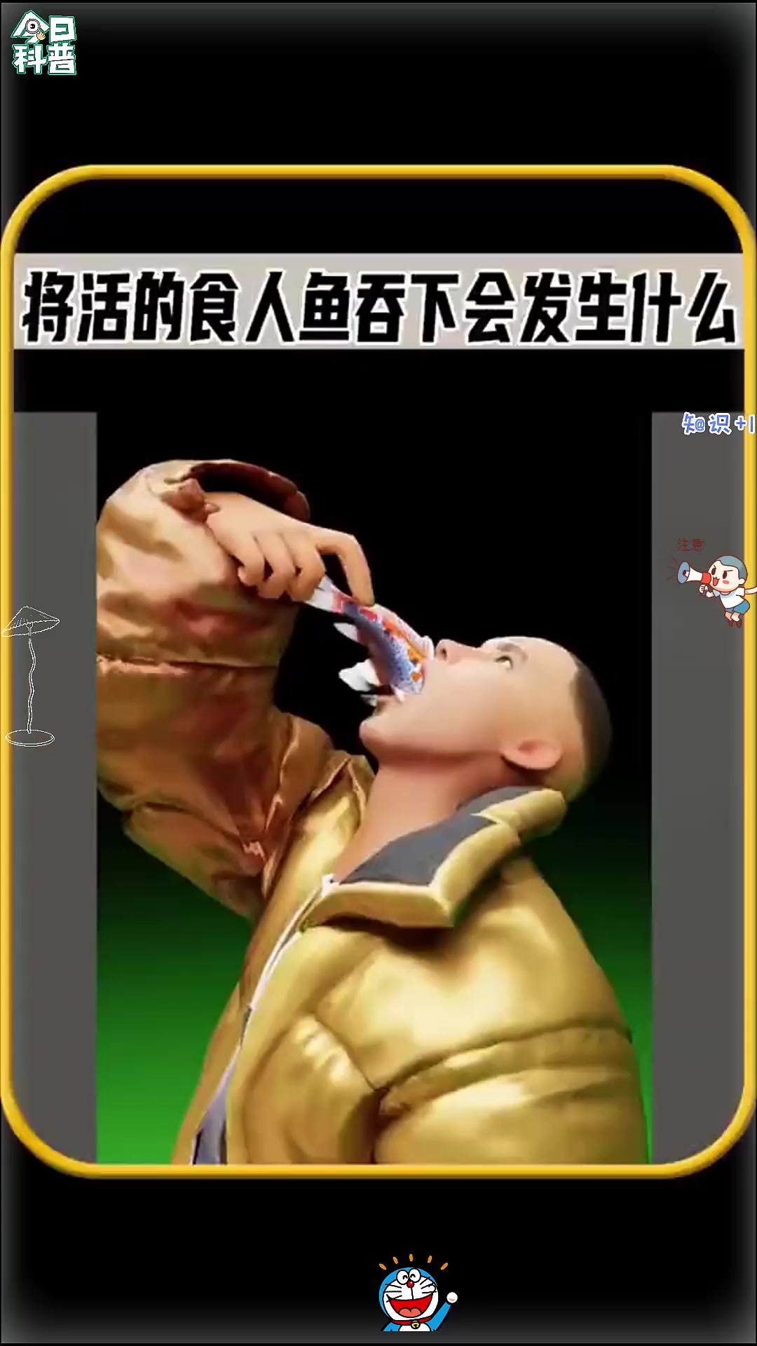 将活食人鱼吞下会发生什么？值得一看