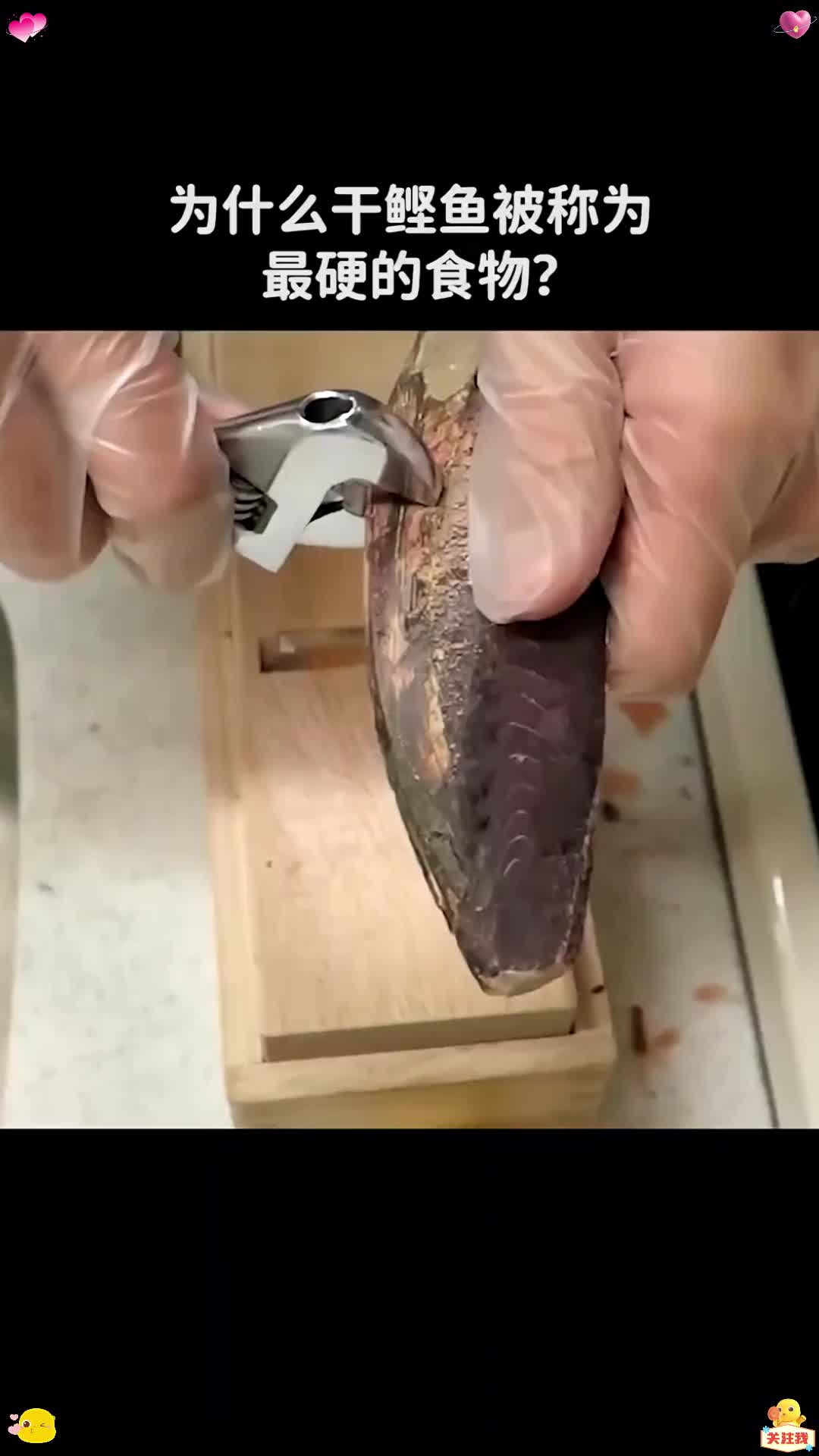 为什么干鲣鱼被称为最硬的食物？