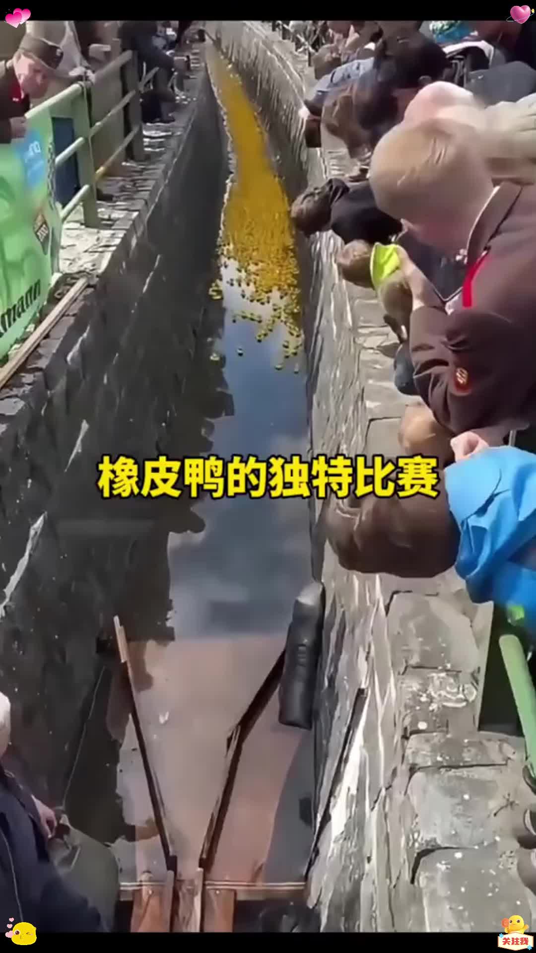 橡皮鸭的独特比赛