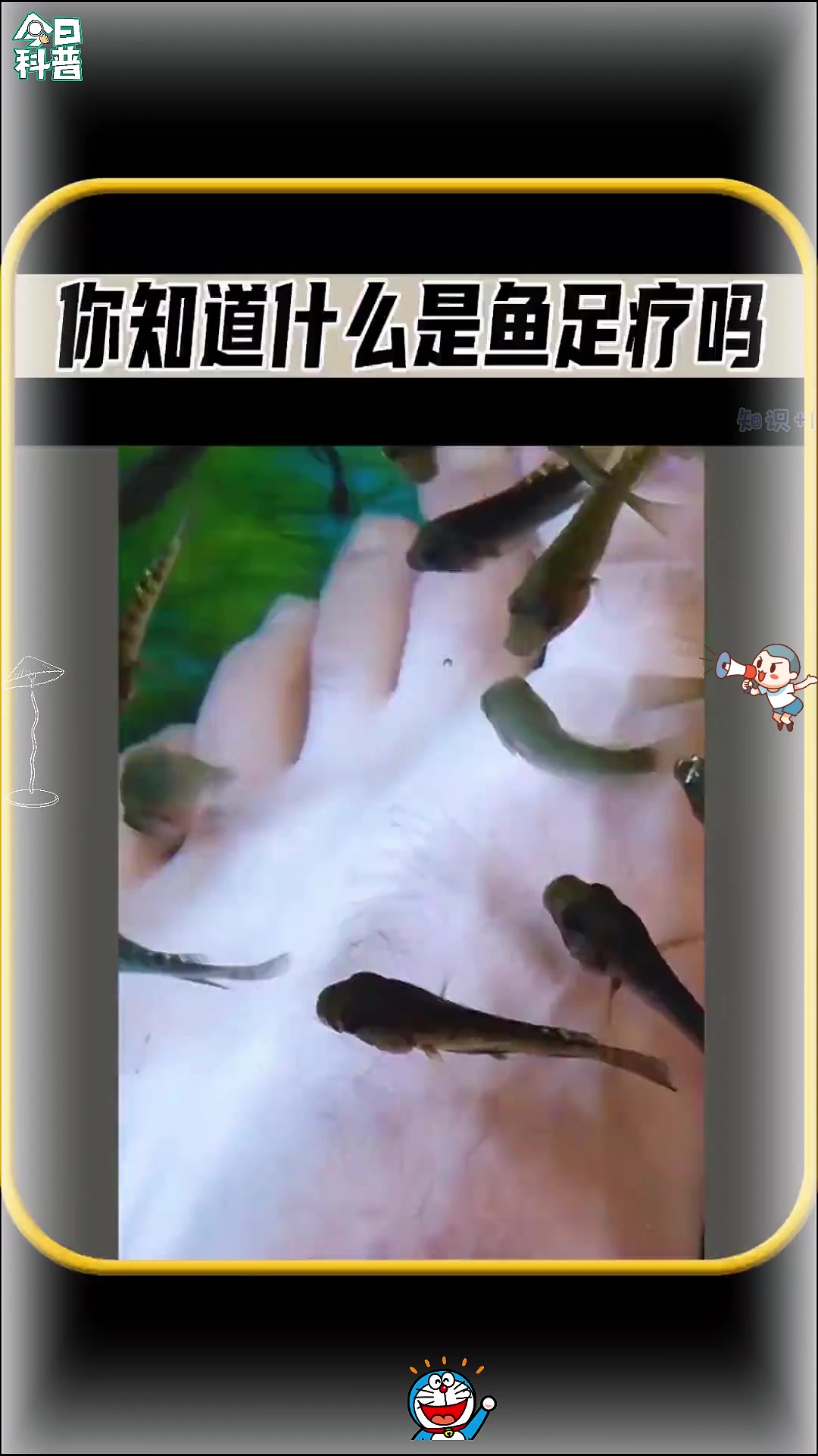 你知道什么是鱼足疗吗