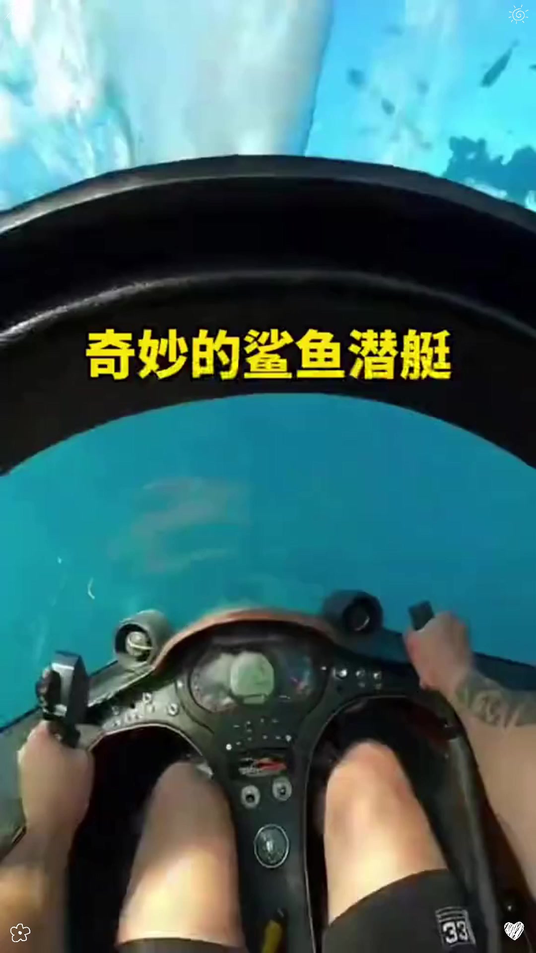 奇妙的鲨鱼潜艇！！！