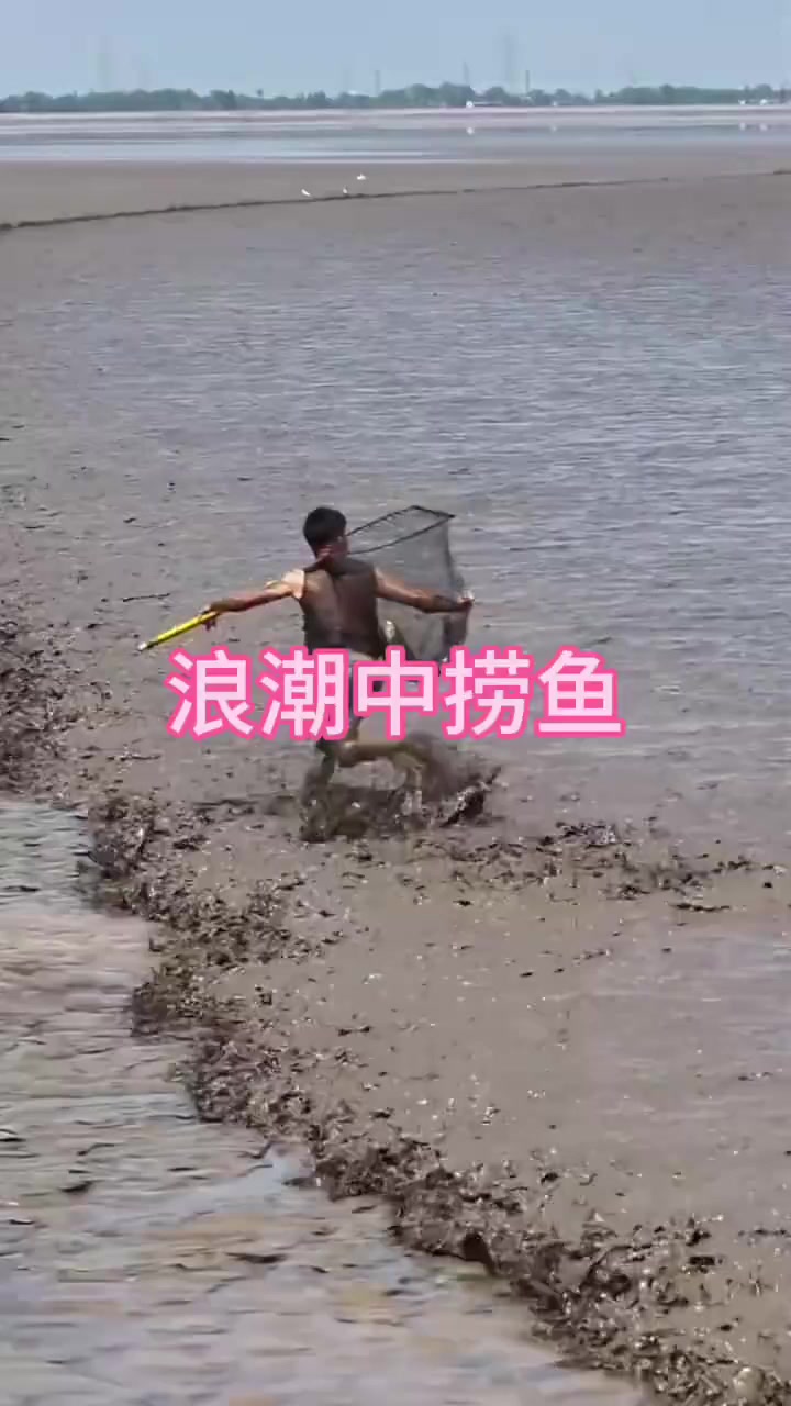 这样捞鱼的过程真是太有趣了