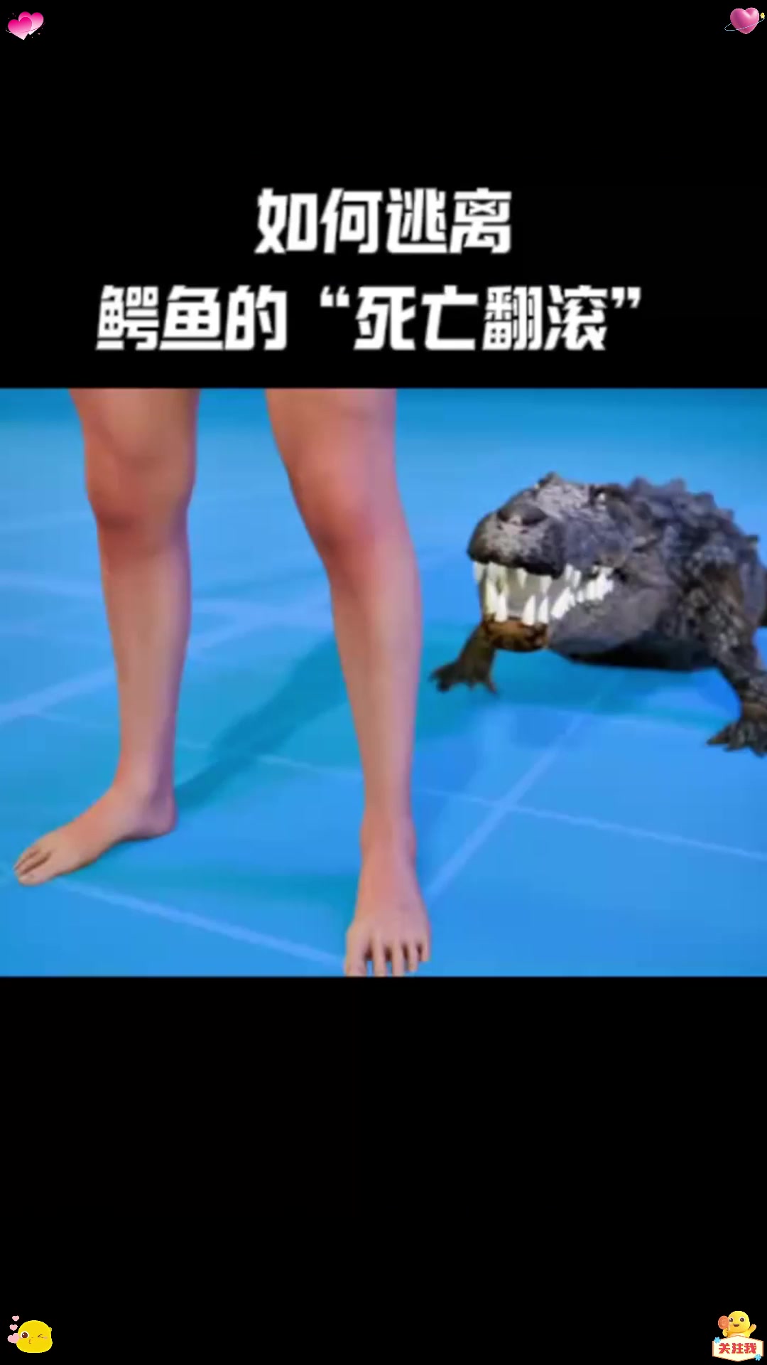 如果被鳄鱼咬住，如何逃脱它的“死亡翻滚”
