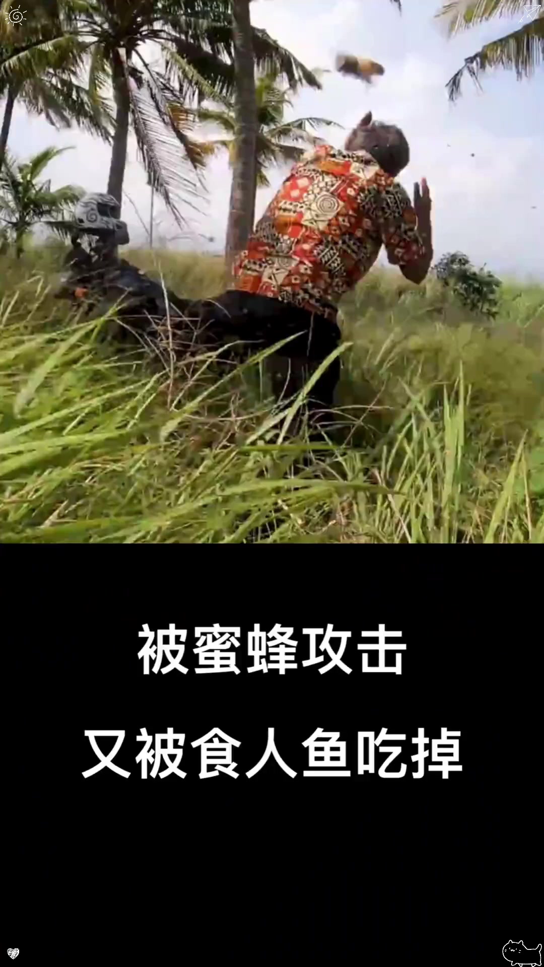 被蜜蜂攻击又被食人鱼吃掉