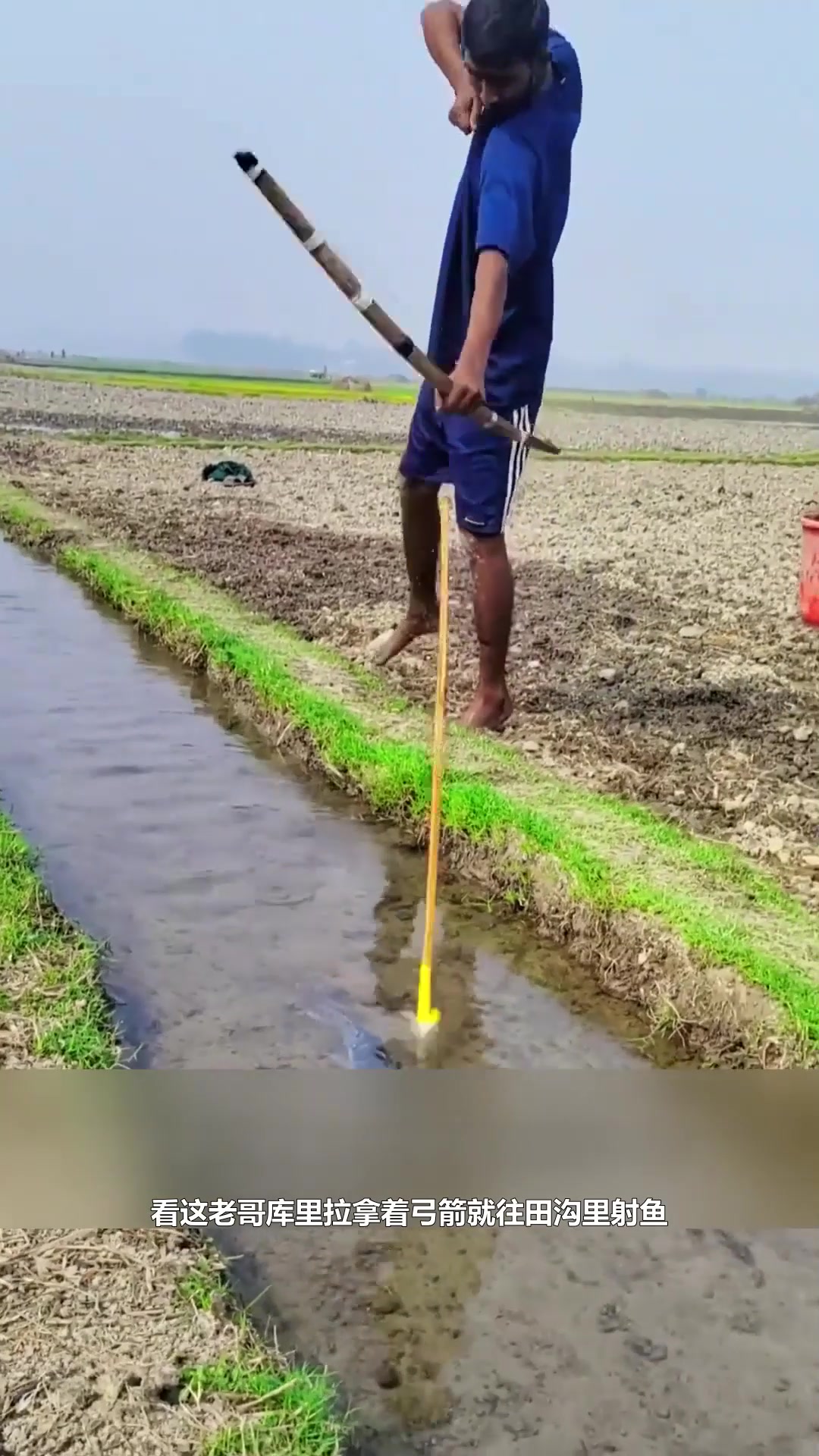 户外捕鱼：渔民兄弟在田地里用弓箭射鱼 