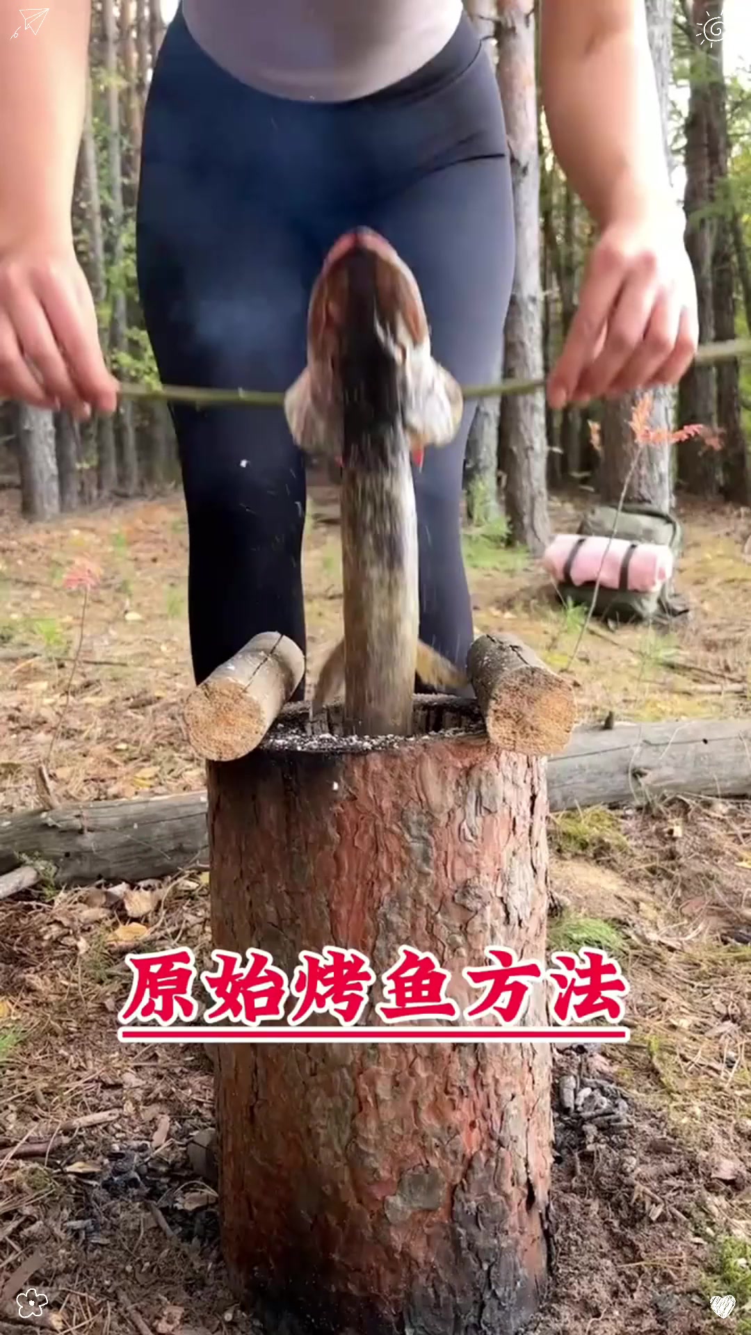 原始烤鱼方法！！！