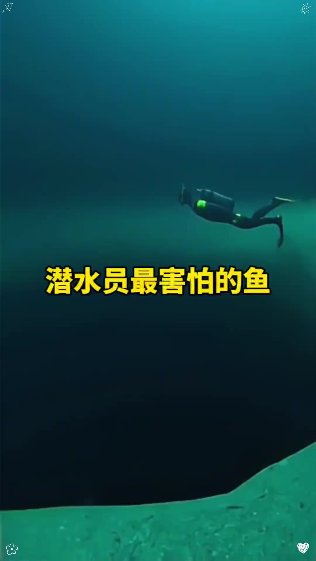 潜水员最害怕的鱼?