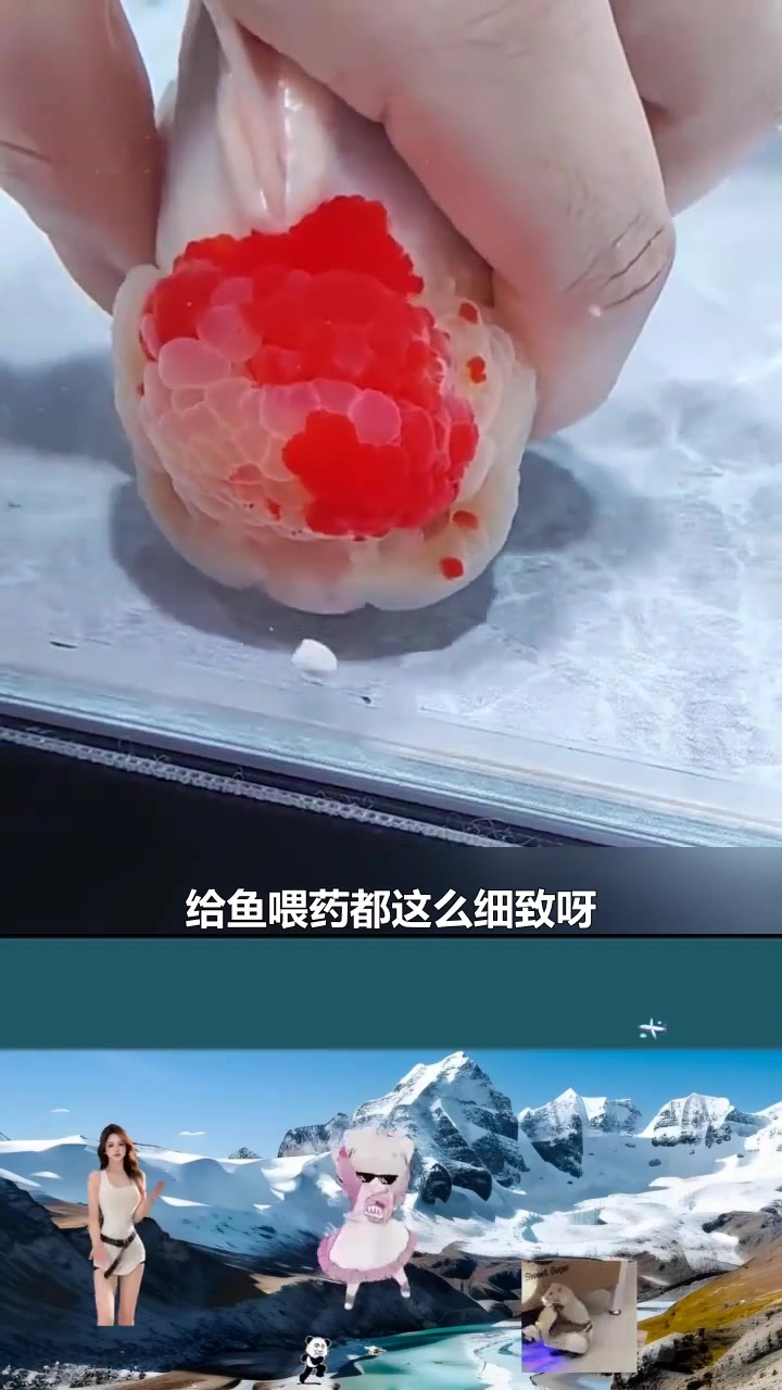 没想到鱼也怕吃药啊
