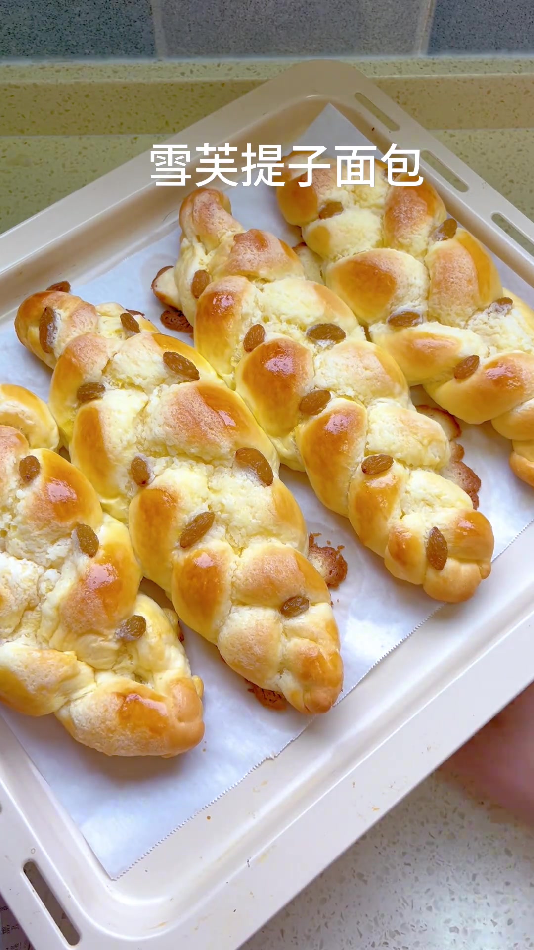 |美食教程|今日分享雪芙提子辫子包～做法简单,快来一起学起来