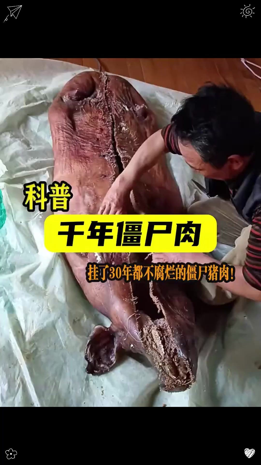 你敢吃这样一头挂了年，都不腐烂的僵尸猪肉吗，简直是太离谱了