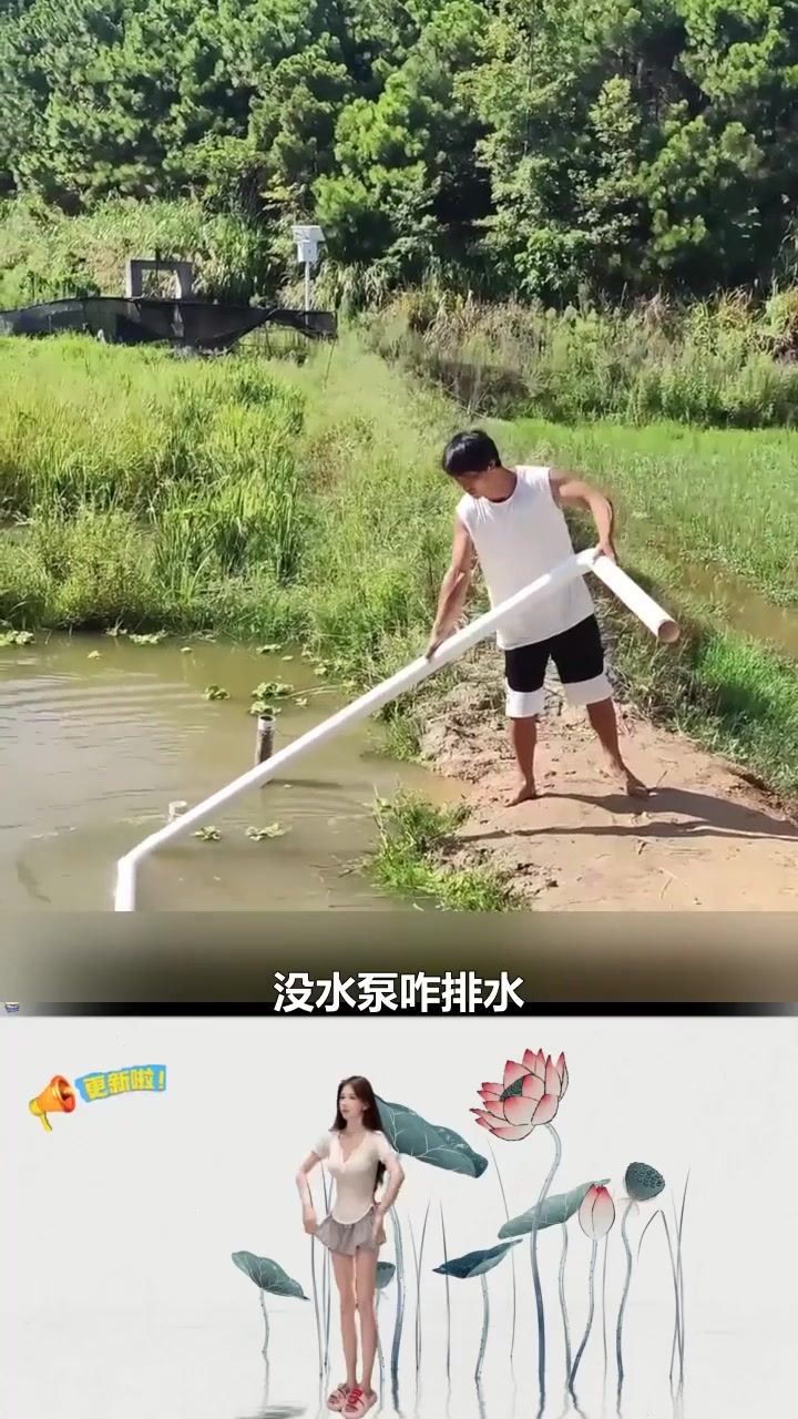男子巧用软管神技,鱼塘积水瞬间排干,你也能学会虹吸妙招! 