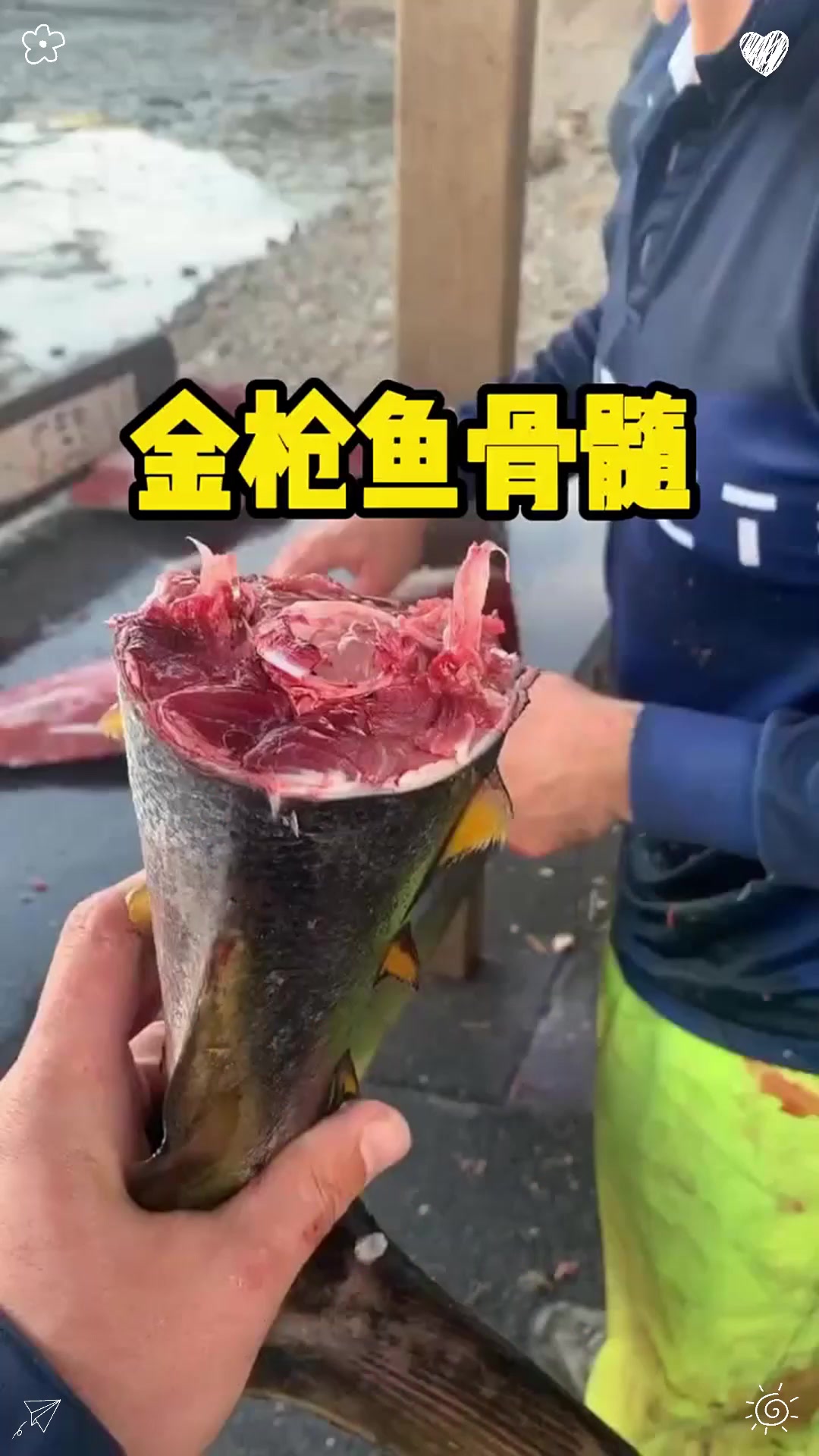 这才是金枪鱼身上最珍贵的部位