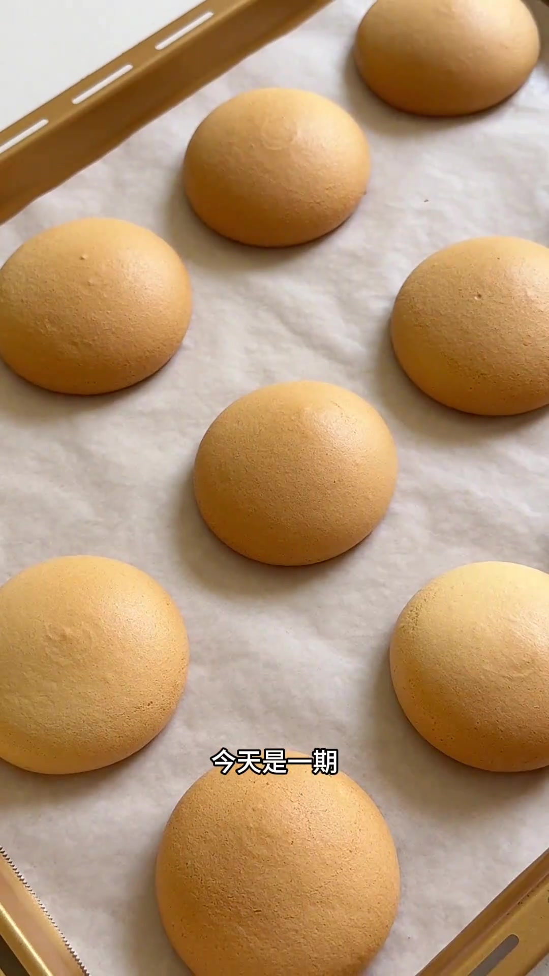 胖乎乎，圆鼓鼓，完美水光肌的肉松小贝 轻松解锁春游小零食