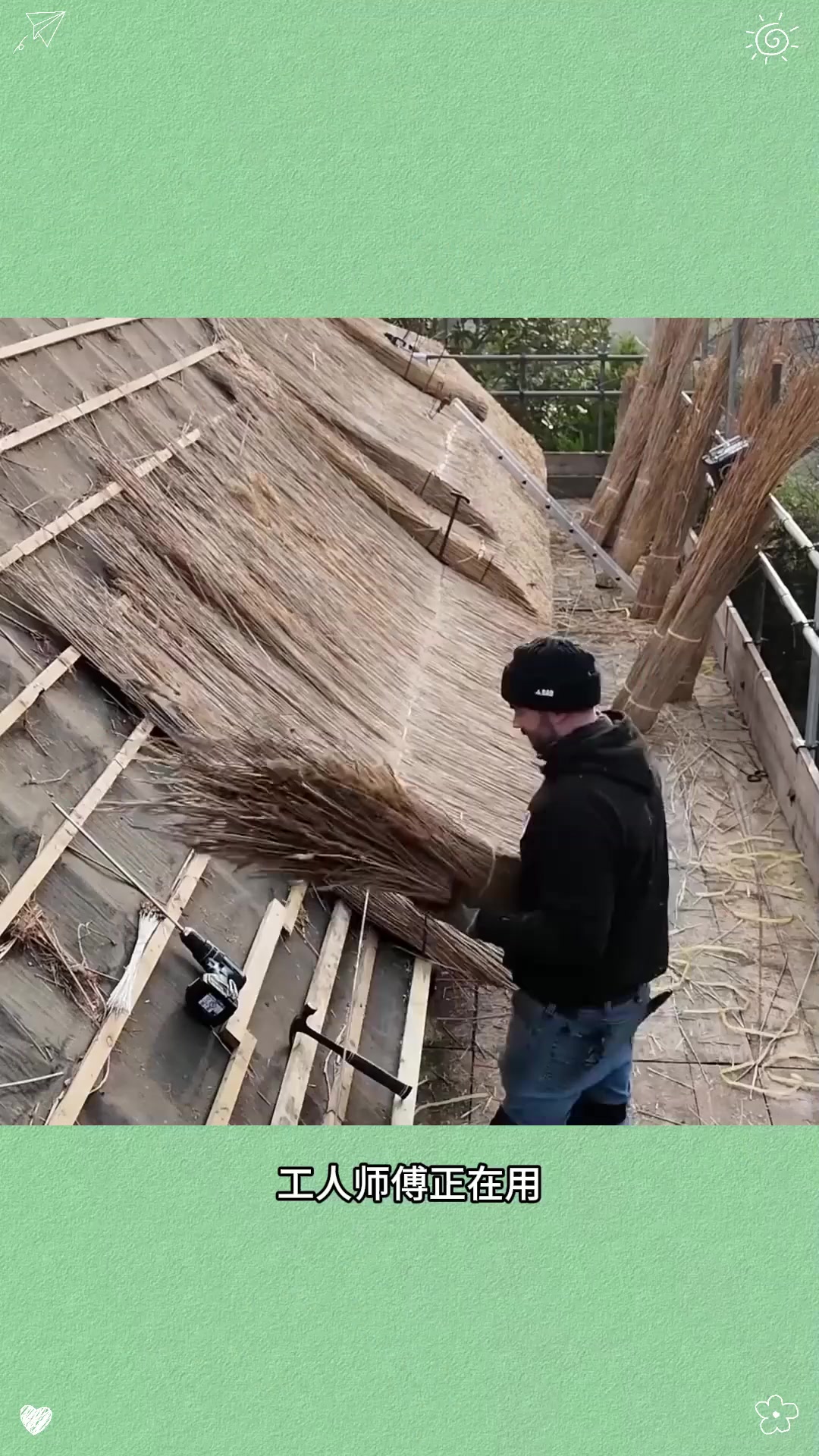 英国农村，为何喜欢用芦苇杆子当房顶？难道不怕漏雨吗