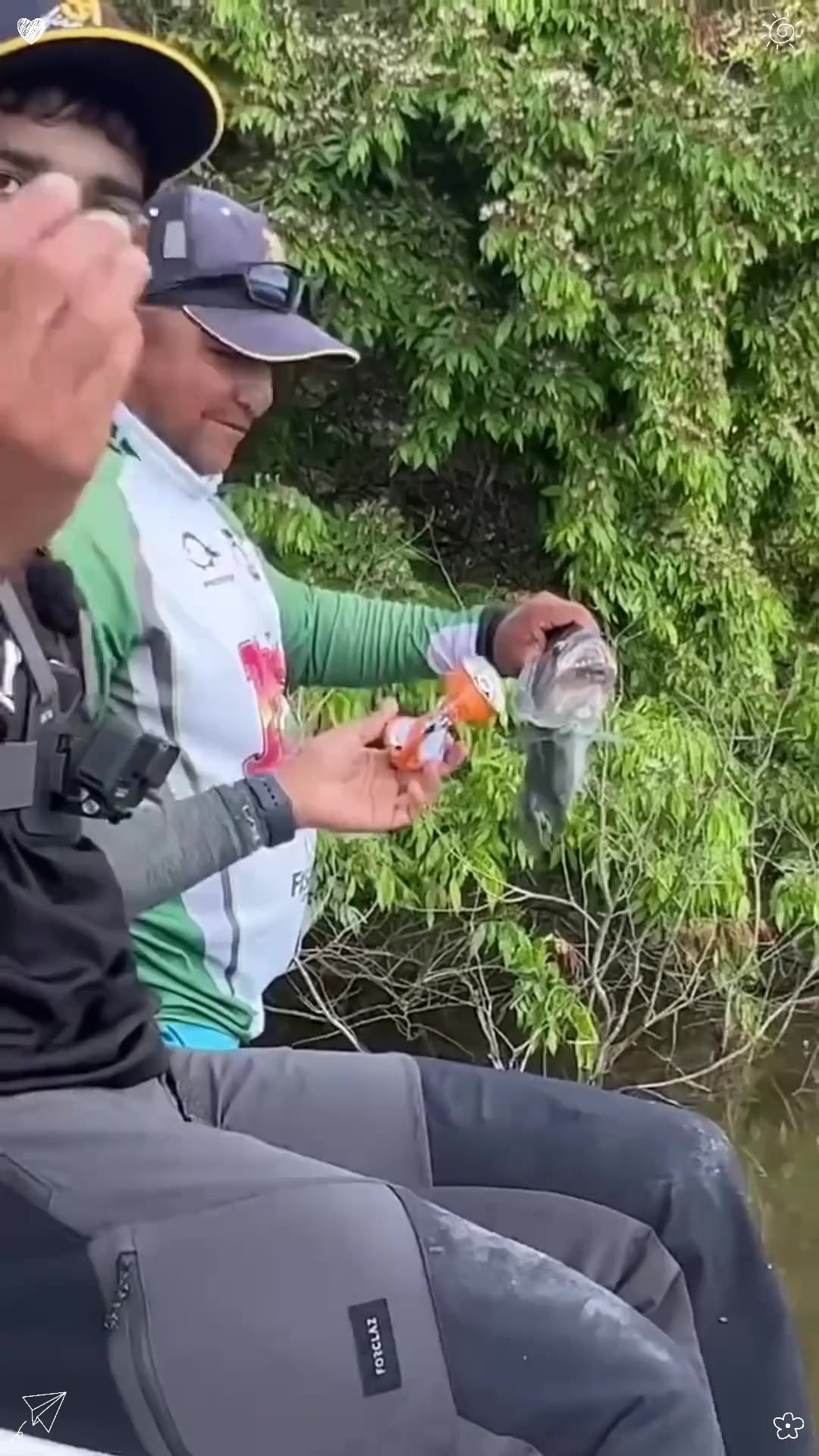 亚马逊河里的致命杀手，食人鱼到底有多可怕？