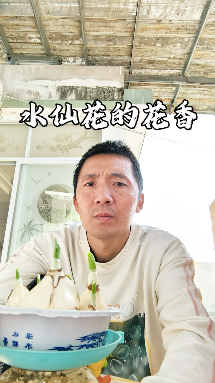水仙花香,年味更浓