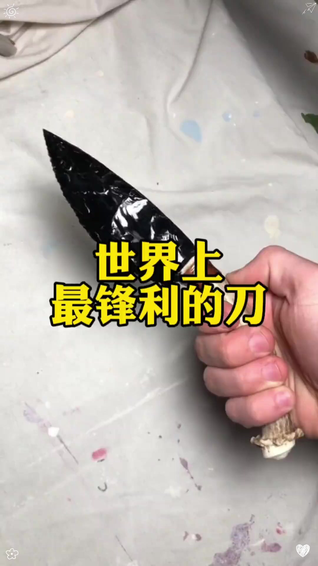 世界上最锋利的刀居然是它？