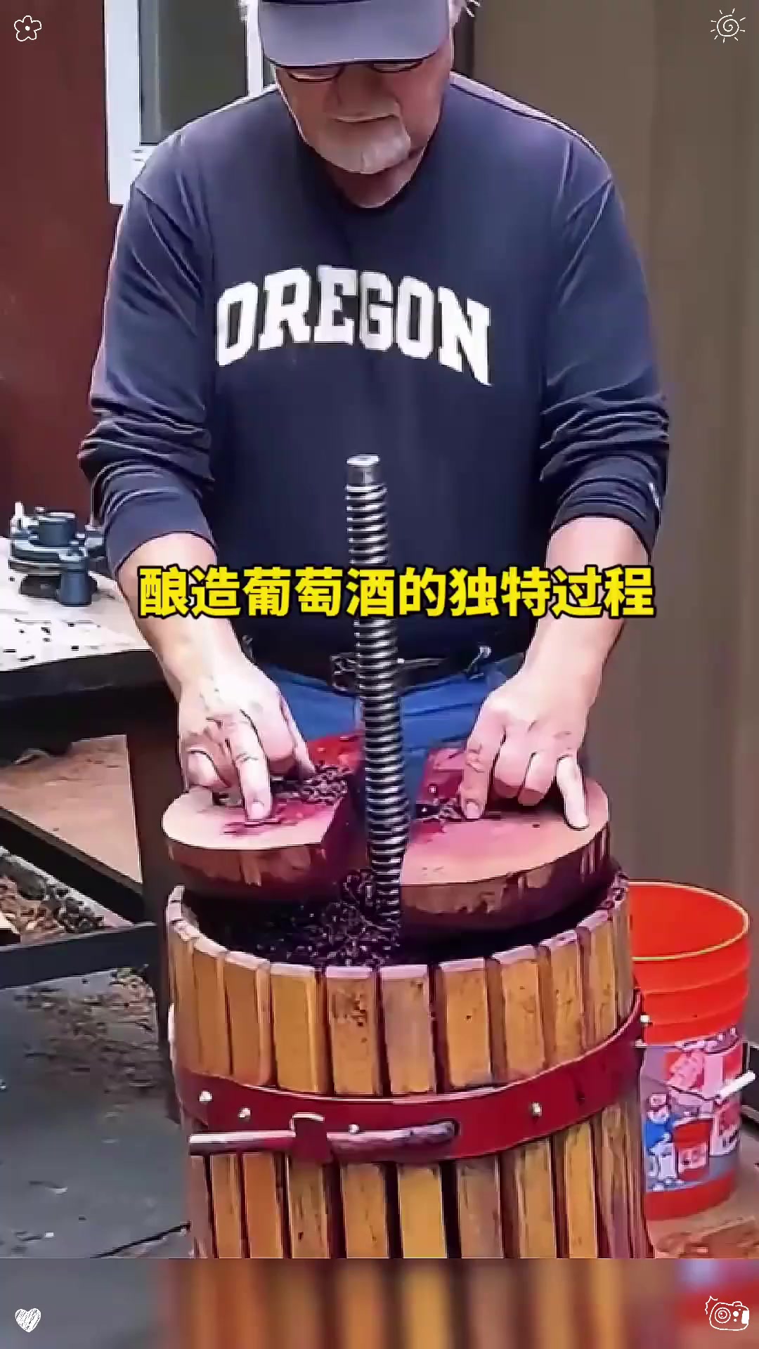 酿造葡萄酒的独特过程