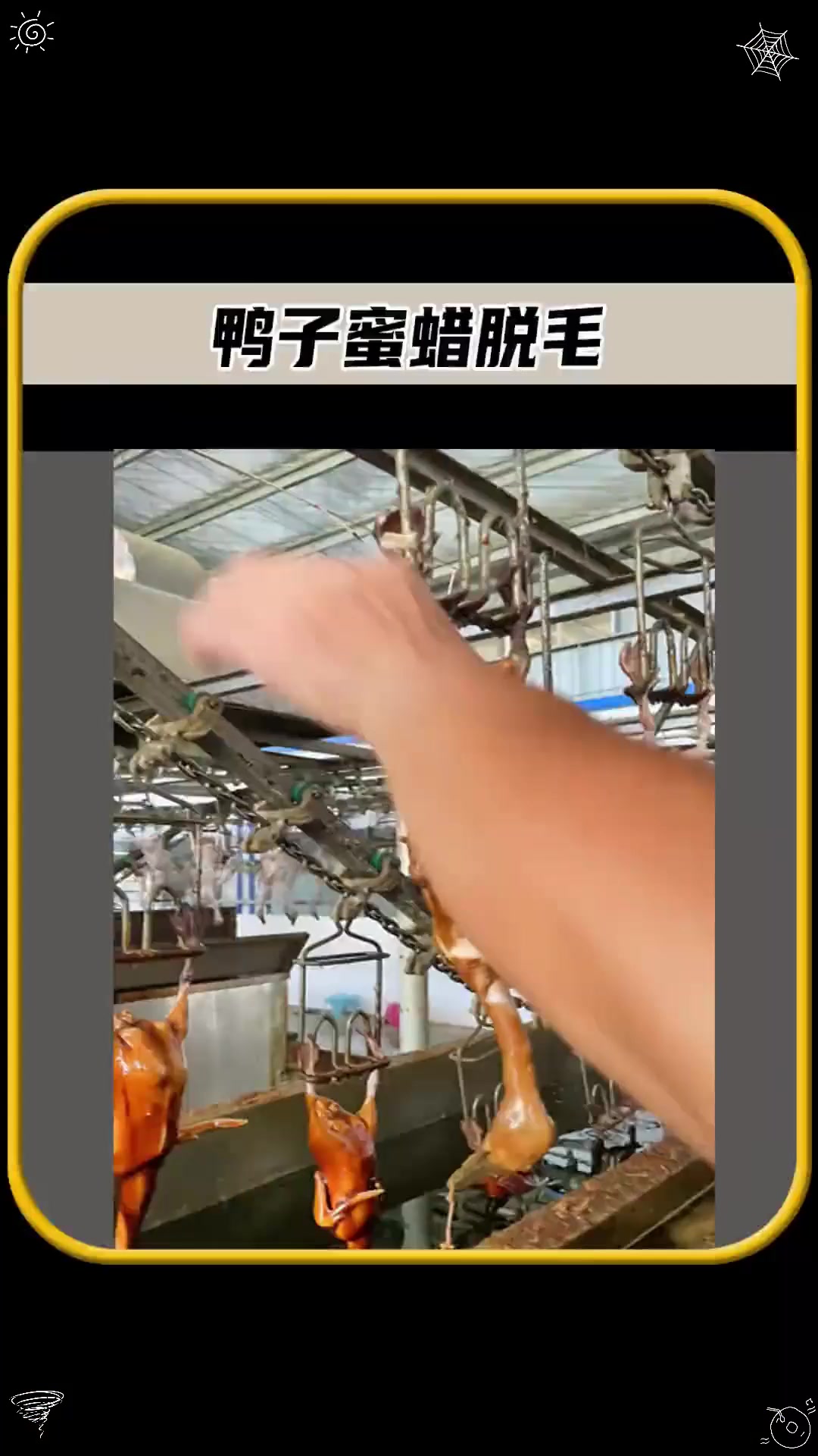 给鸭子做个蜜蜡SPA,管它是羽毛还是小绒毛,通通都不见