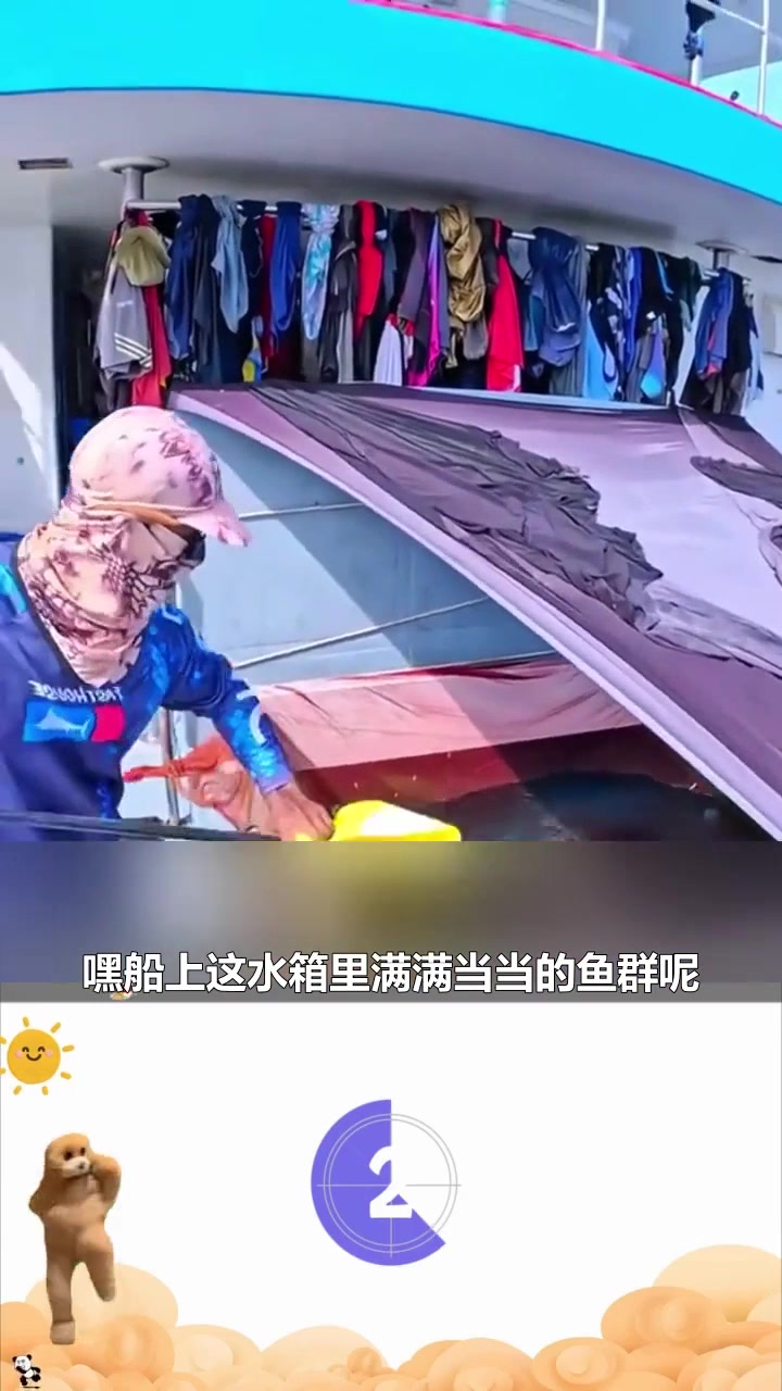 户外捕鱼 - -渔民用买来的小鱼苗在大海上打窝 