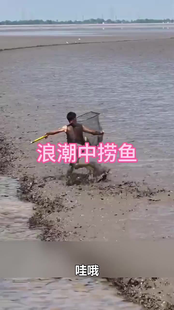 这样捞鱼的过程真是太有趣了