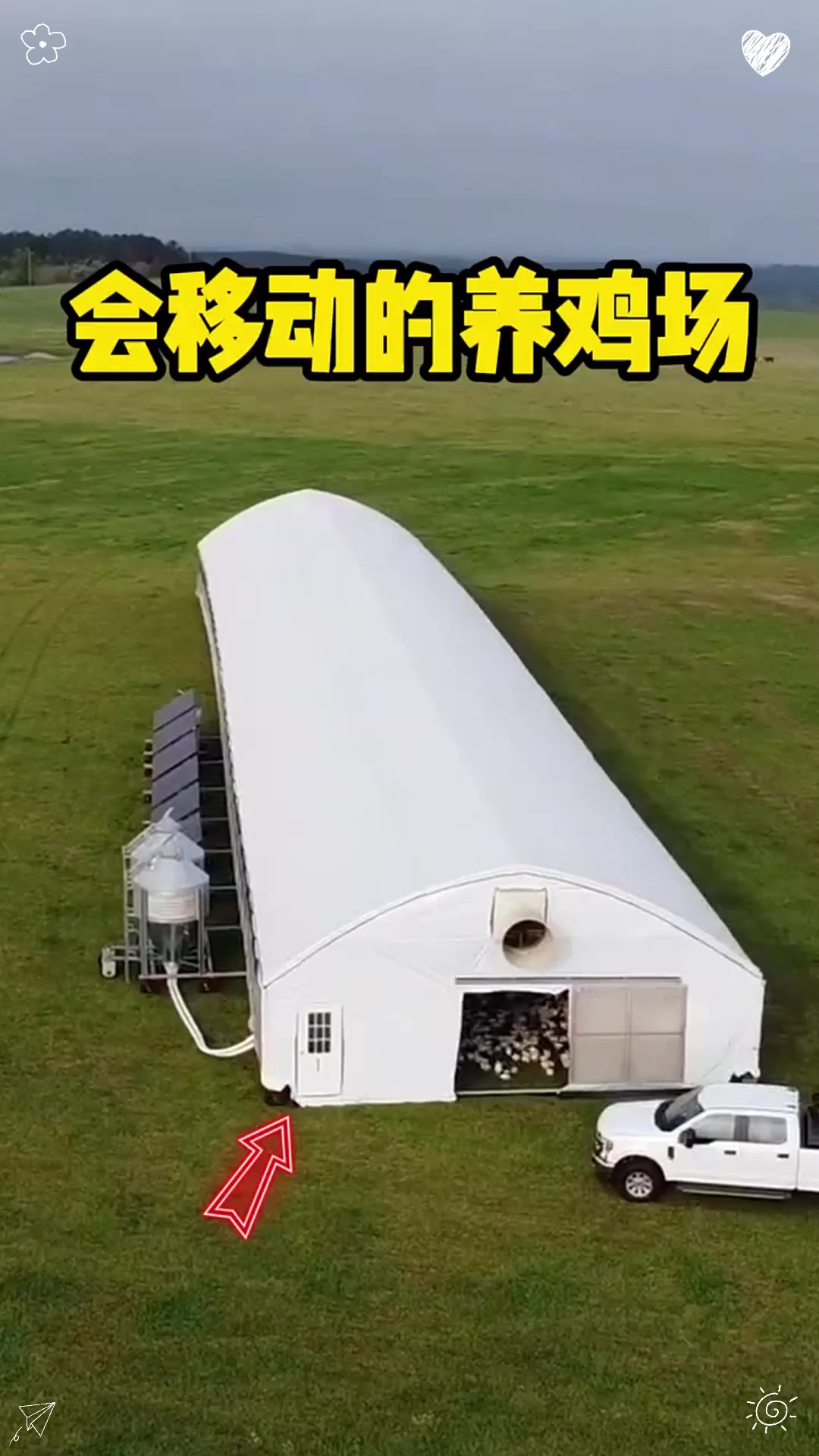 美国发明会移动的养鸡场