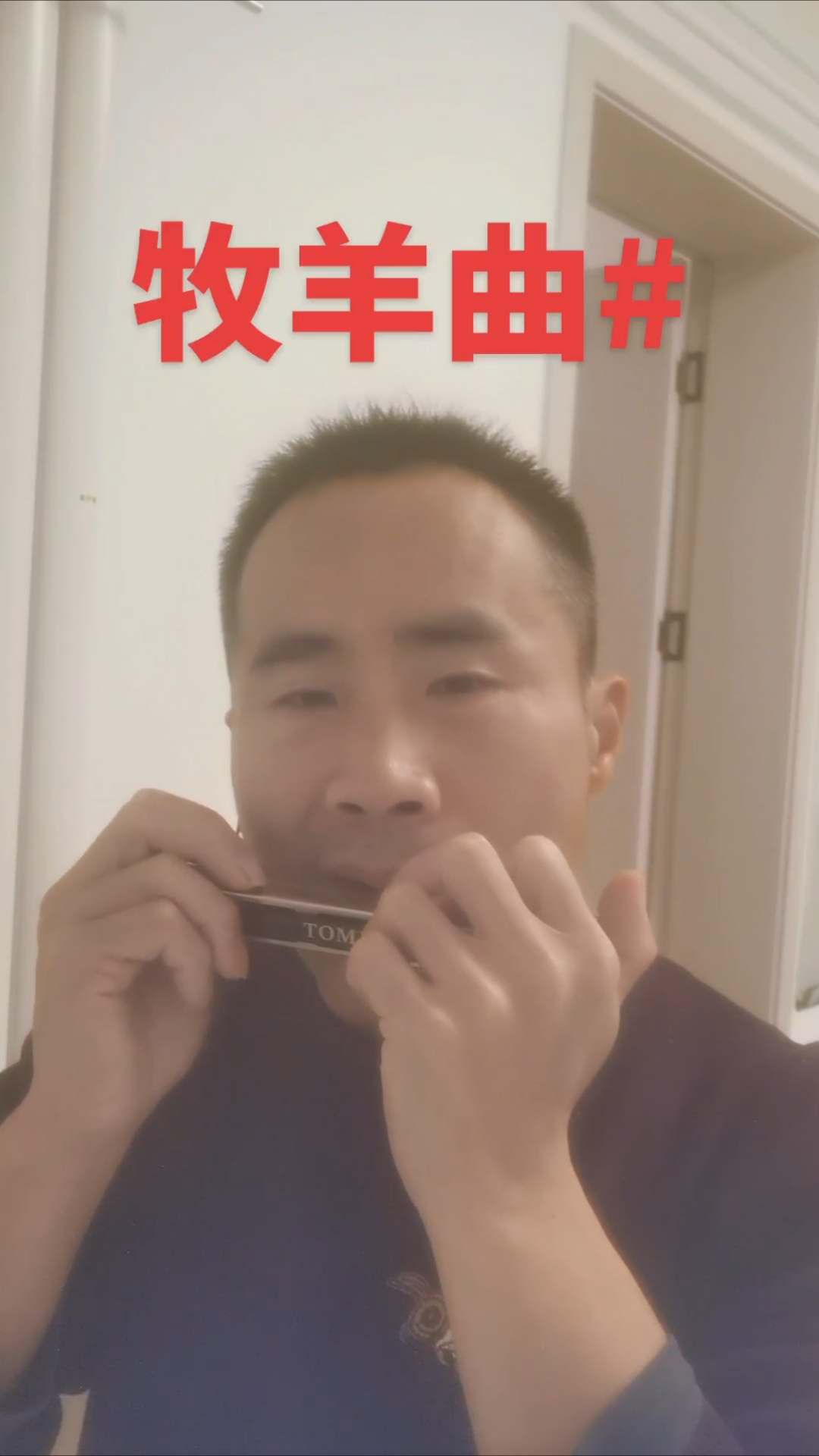 口琴伴奏《牧羊曲》C调