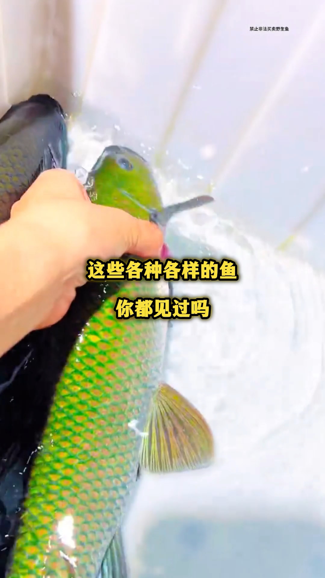 分享视频