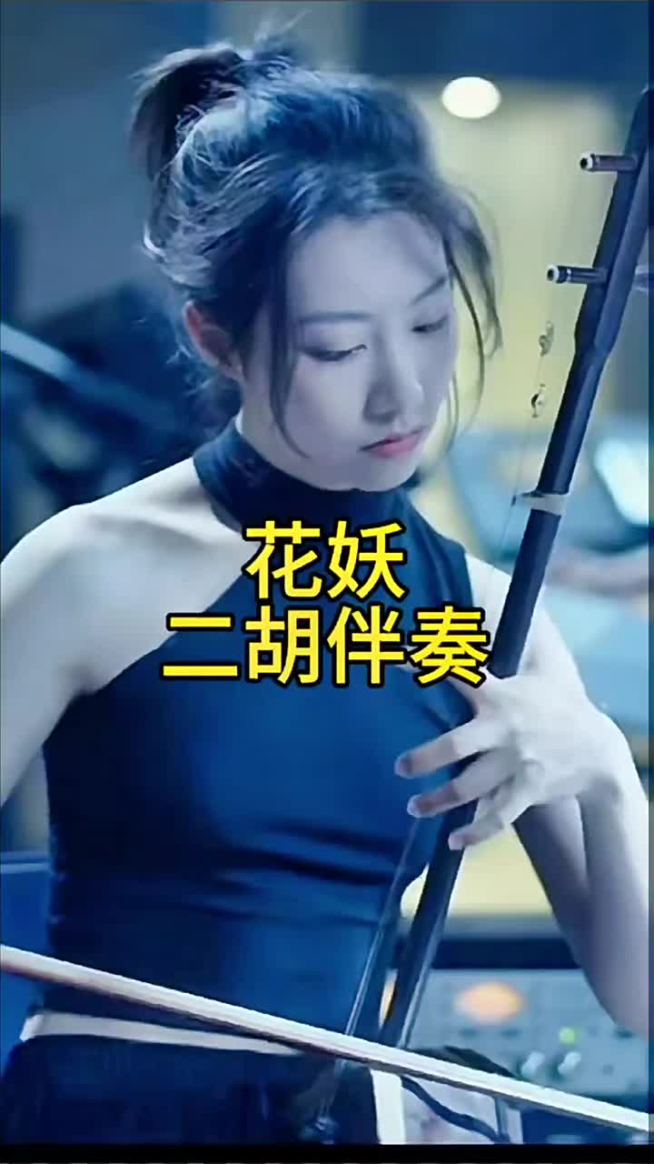 花妖二胡伴奏篇,经典!