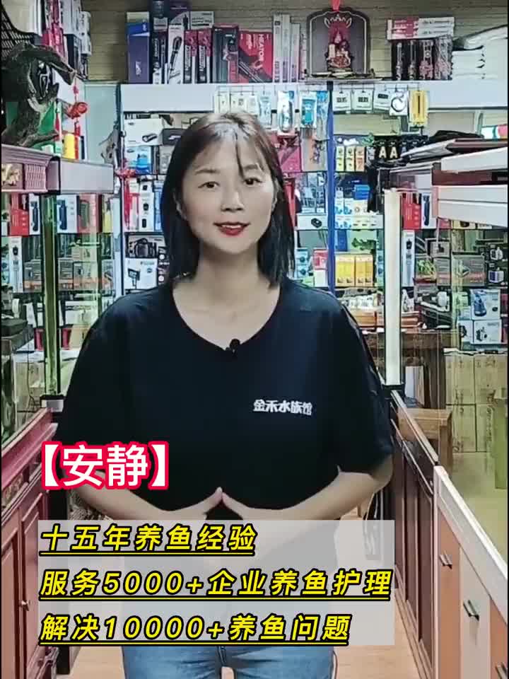龙鱼配鱼!黑云鱼又称乌云鱼!干货收藏