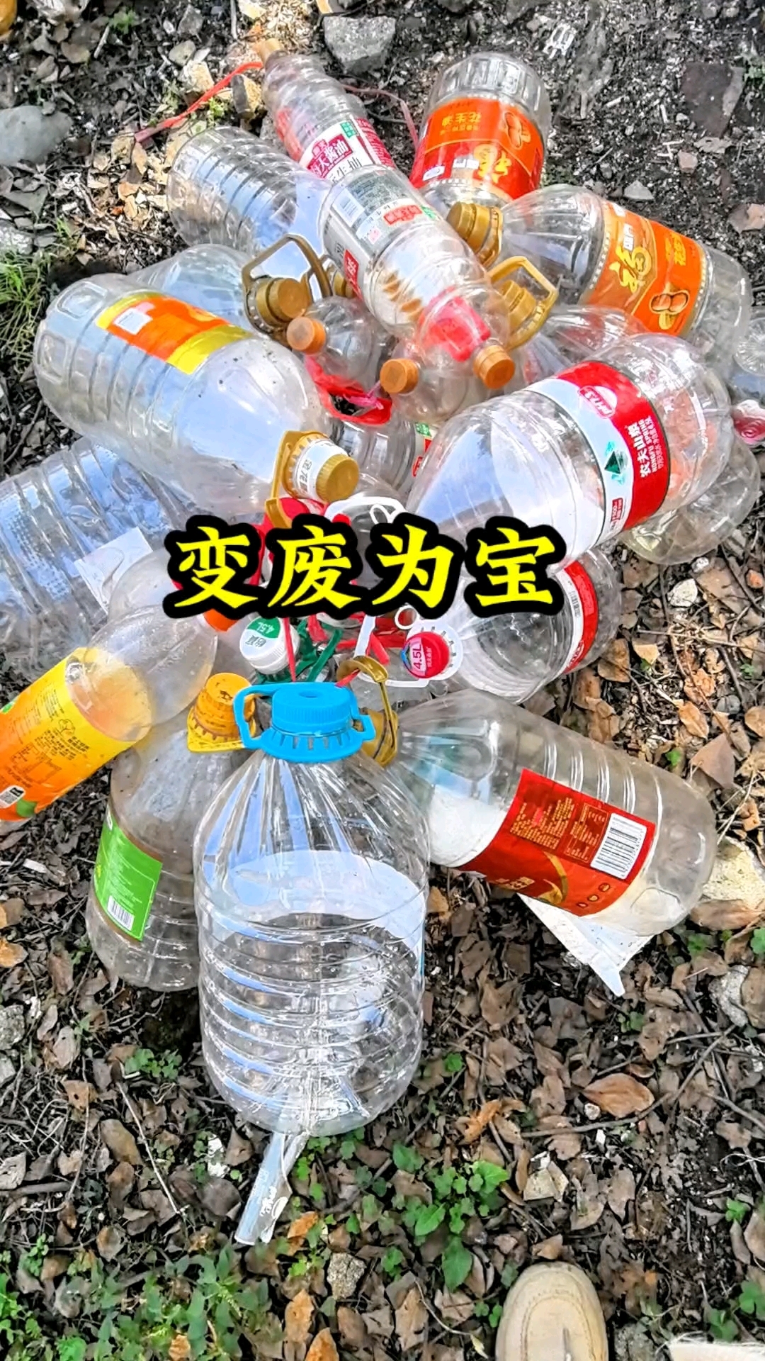 塑料瓶变废为宝做花盆鱼缸#自制花盆 #手工制作 #手工花盆