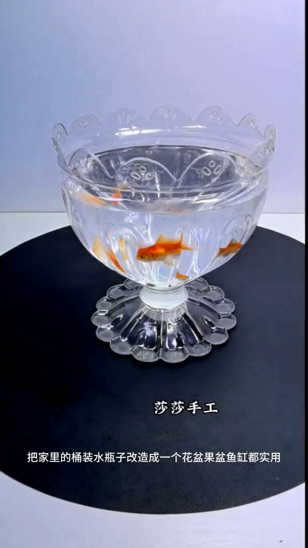家里的塑料瓶别扔留起来改造成花盆鱼缸收纳盒都实用#变废为宝#自制花盆#手工#生活小妙招