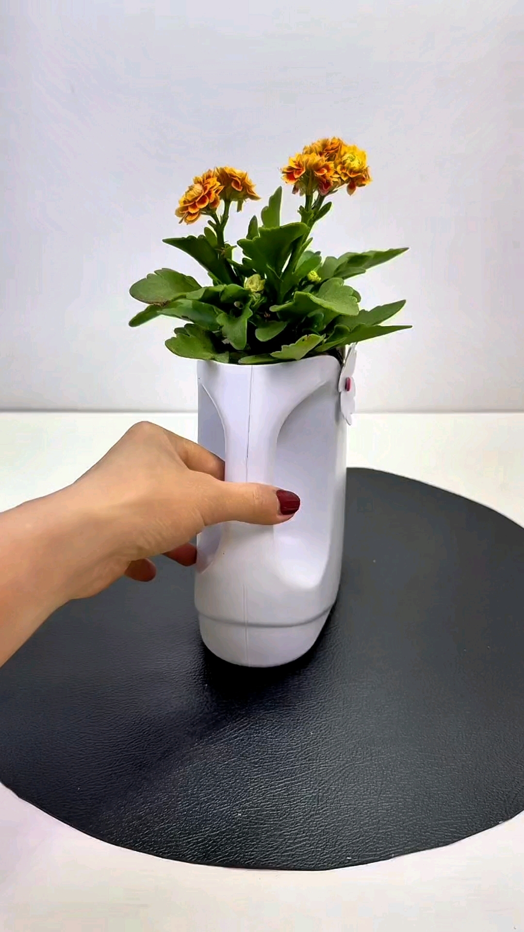 洗衣液瓶简单改一下就是花盆#变废为宝#自制花盆#手工DIY#